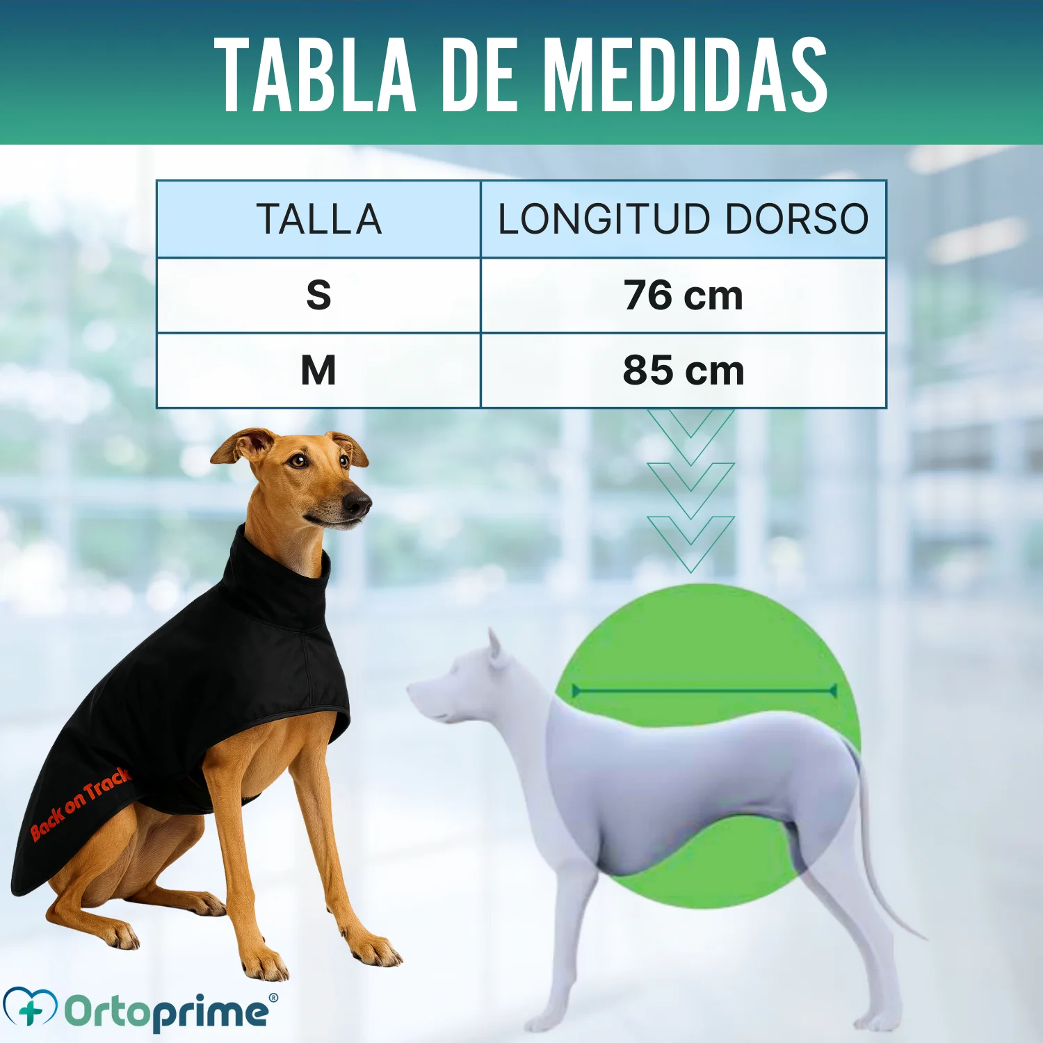 Abrigo Térmico Impermeable para Perro Galgo | 2 Tallas - Image 2