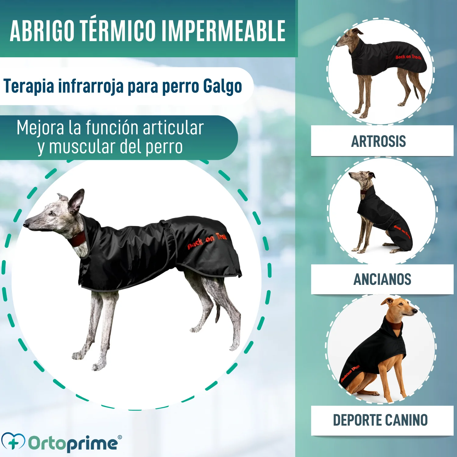 Abrigo Térmico Impermeable para Perro Galgo | 2 Tallas - Image 3