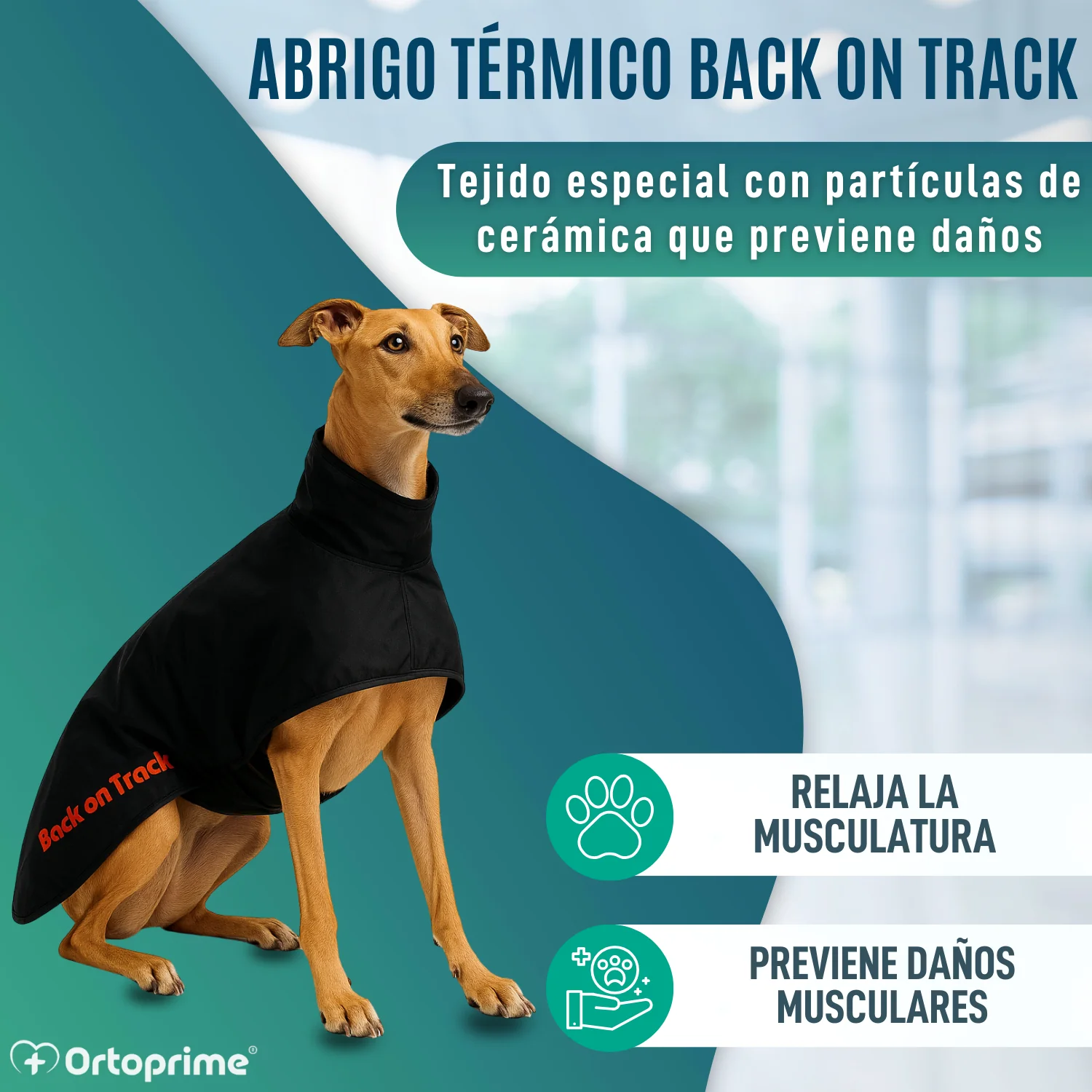 Abrigo Térmico Impermeable para Perro Galgo | 2 Tallas - Image 4