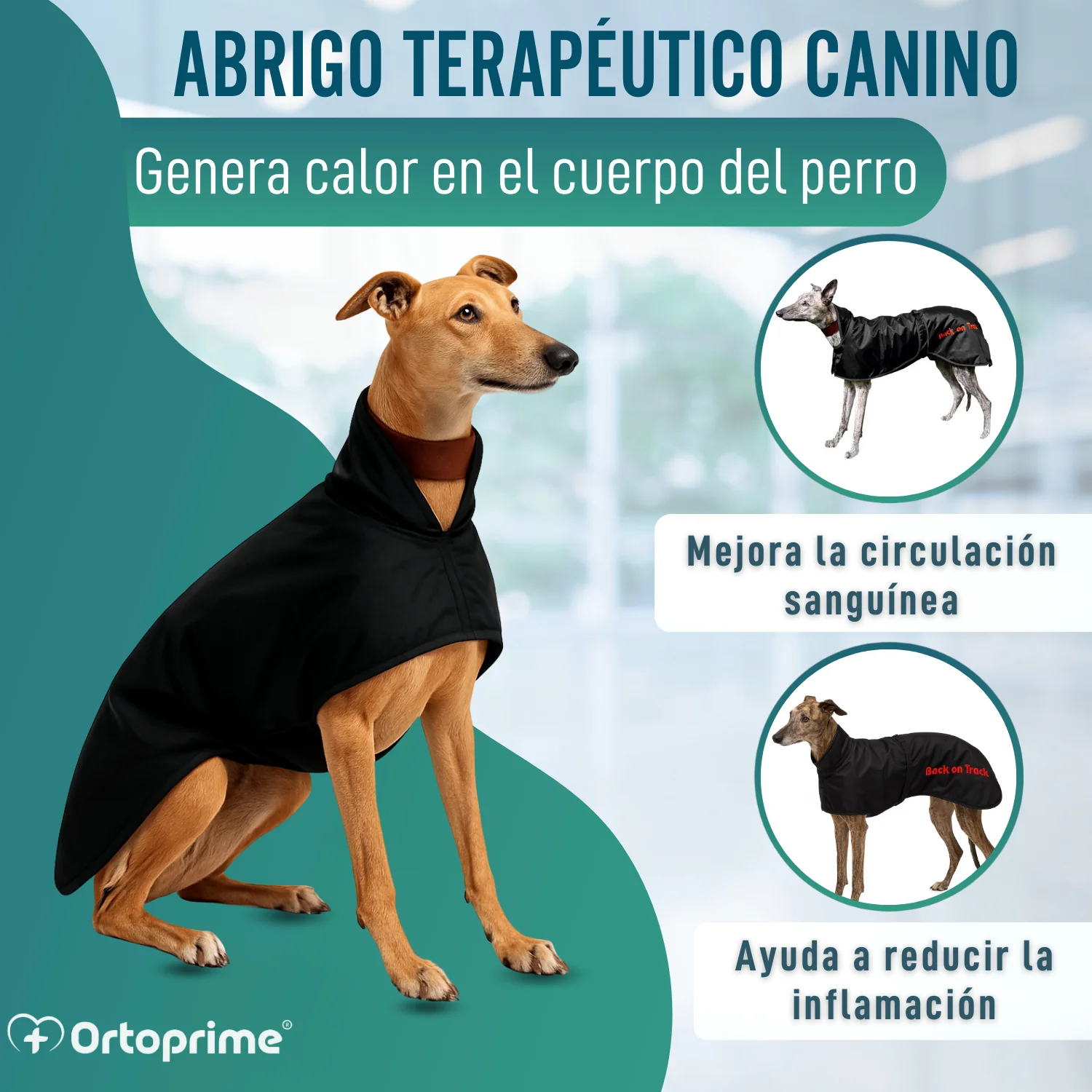 Abrigo Térmico Impermeable para Perro Galgo | 2 Tallas - Image 5