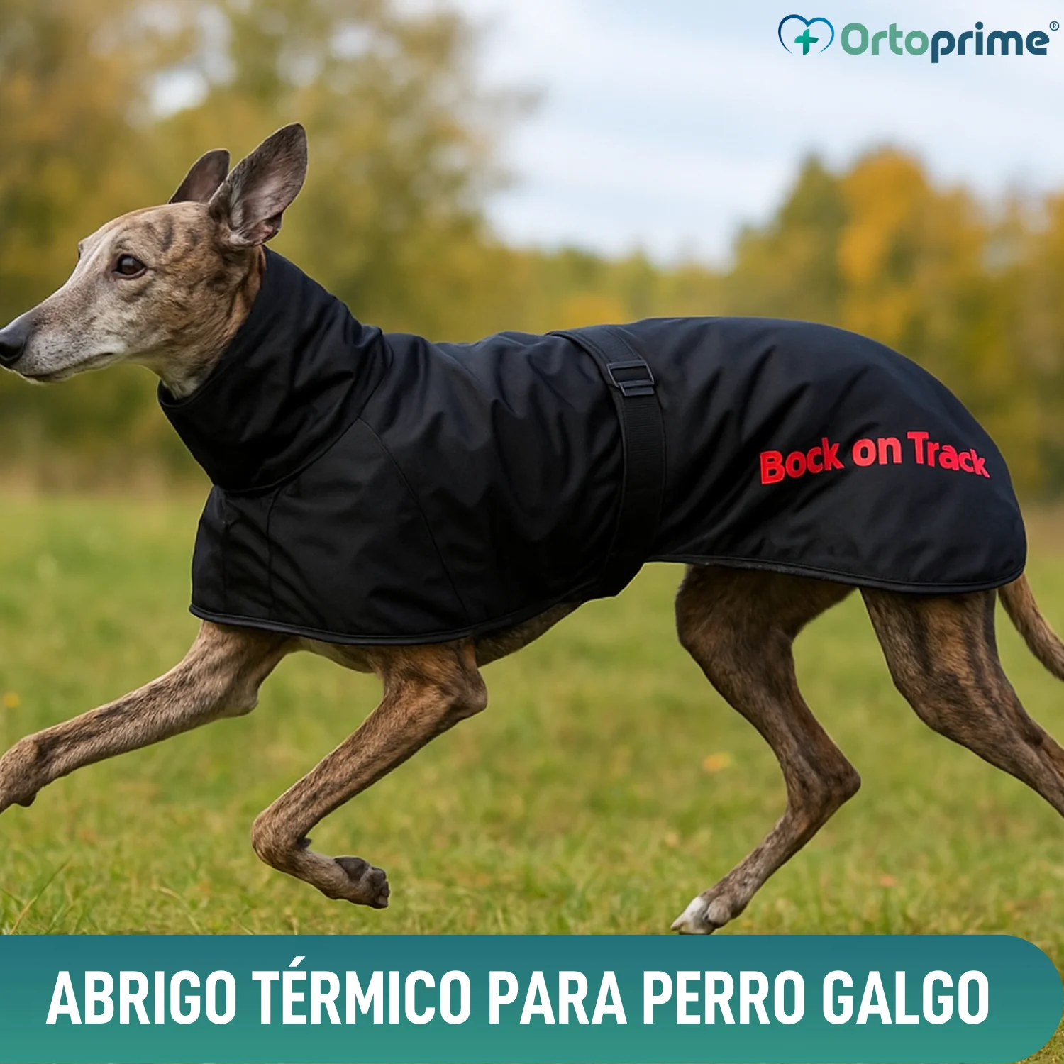 Abrigo Térmico Impermeable para Perro Galgo | 2 Tallas - Image 6