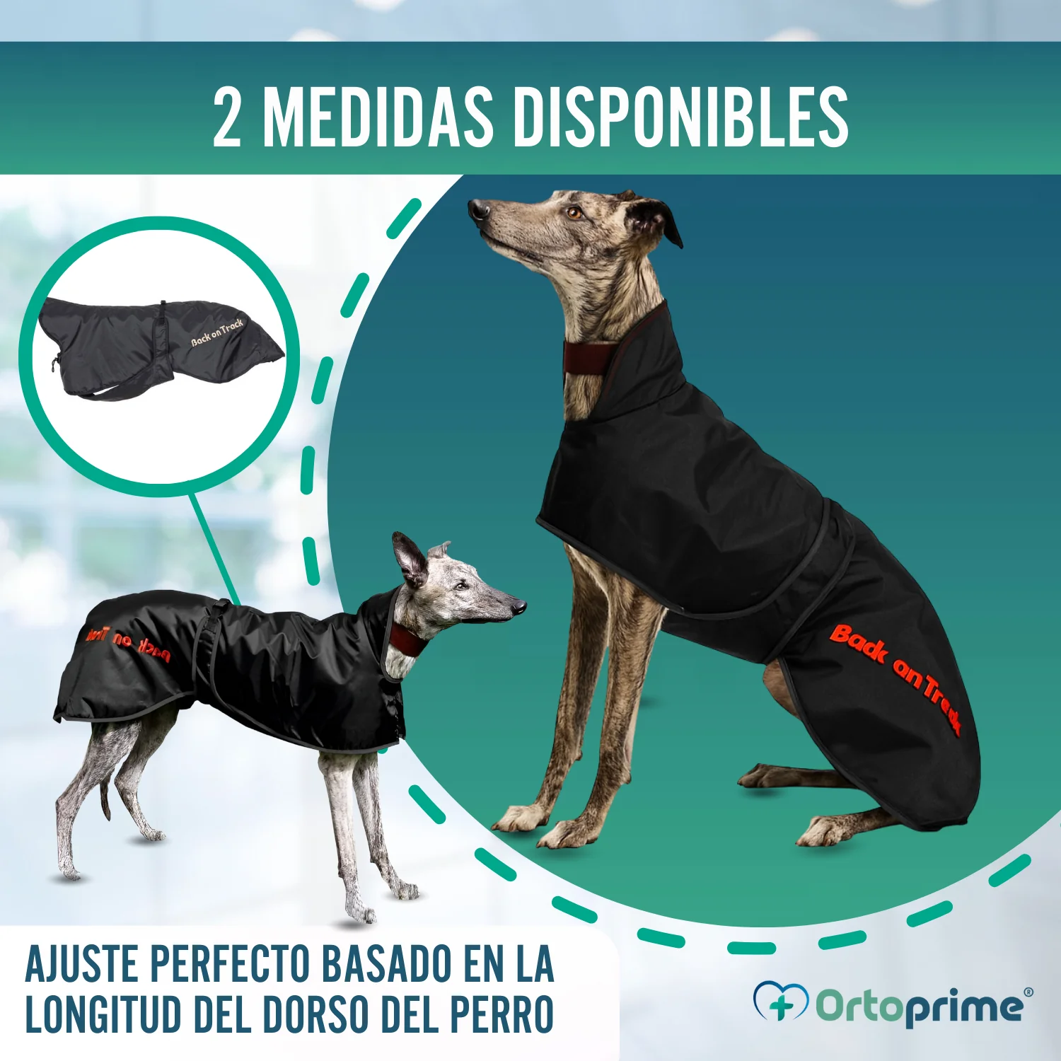 Abrigo Térmico Impermeable para Perro Galgo | 2 Tallas - Image 8