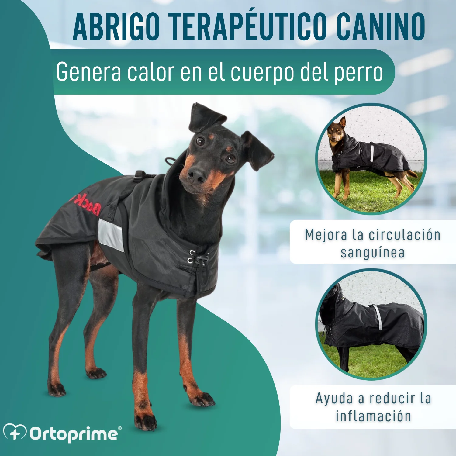 Abrigo Térmico Impermeable para Perros | Back on Track - Image 3