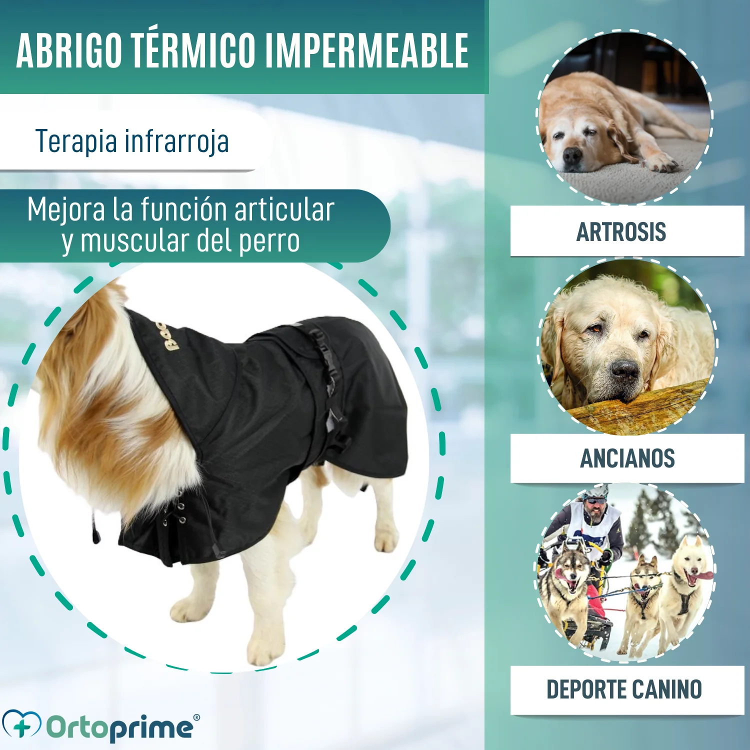 Abrigo Térmico Impermeable para Perros | Back on Track - Image 4