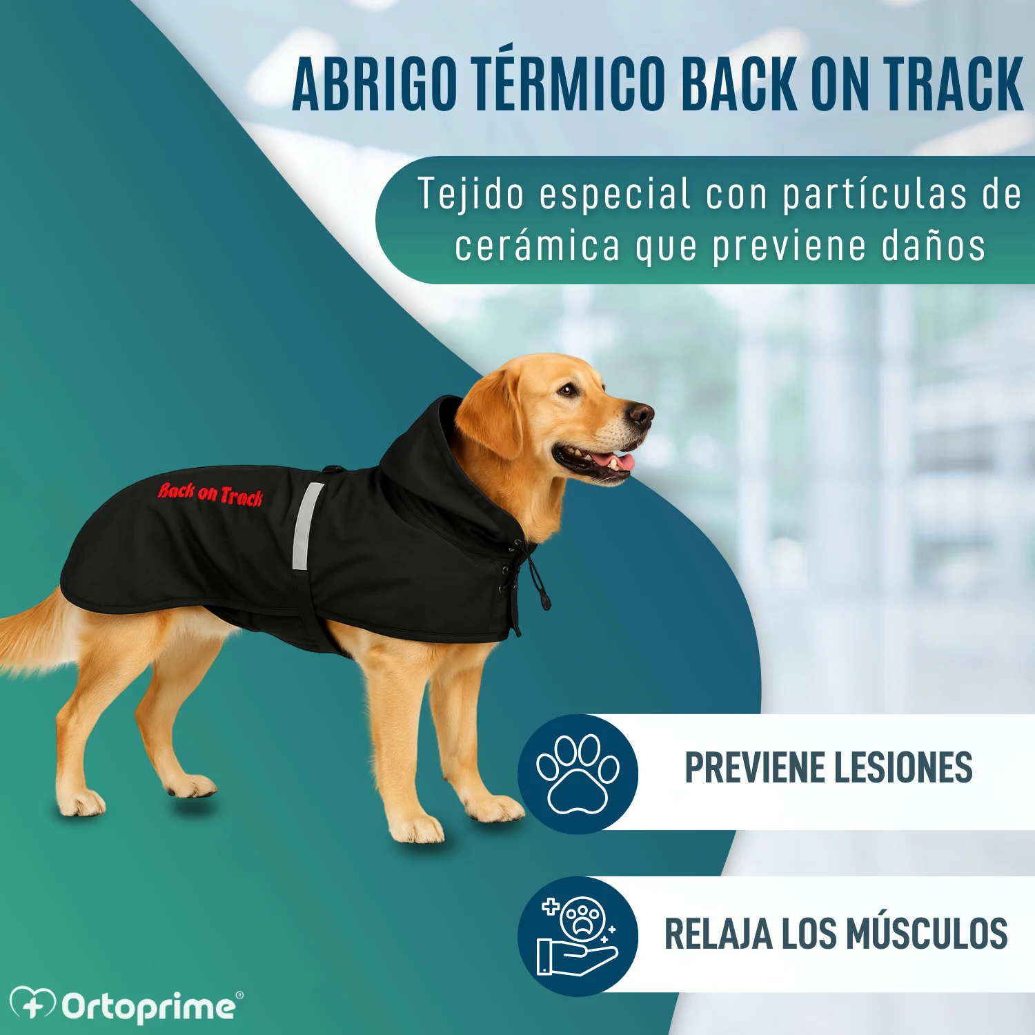 Abrigo Térmico Impermeable para Perros | Back on Track - Image 5