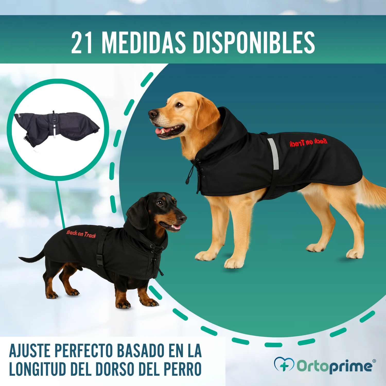 Abrigo Térmico Impermeable para Perros | Back on Track - Image 8
