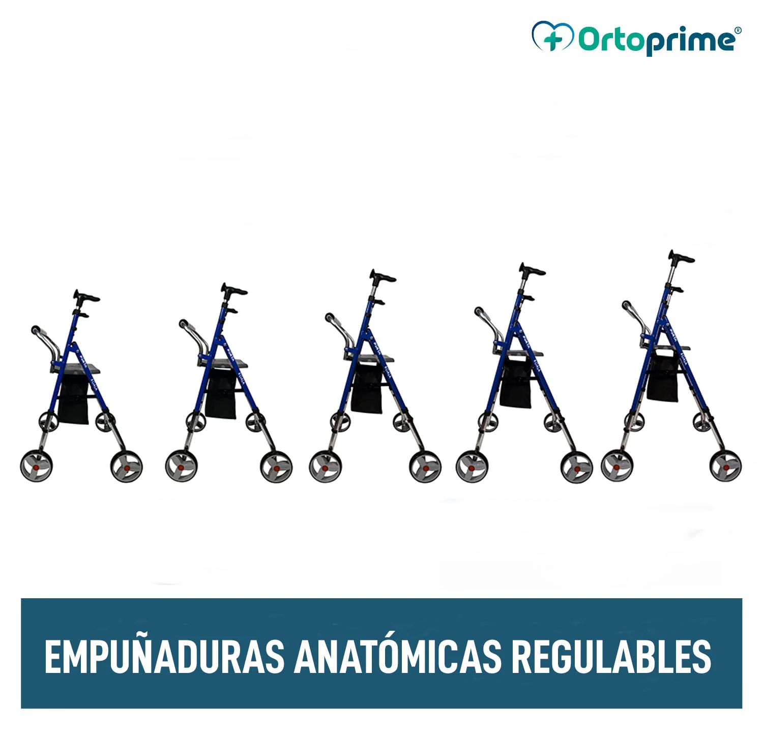 Andador con Asiento Regulable en Altura y Plegable para Adulto - Image 3