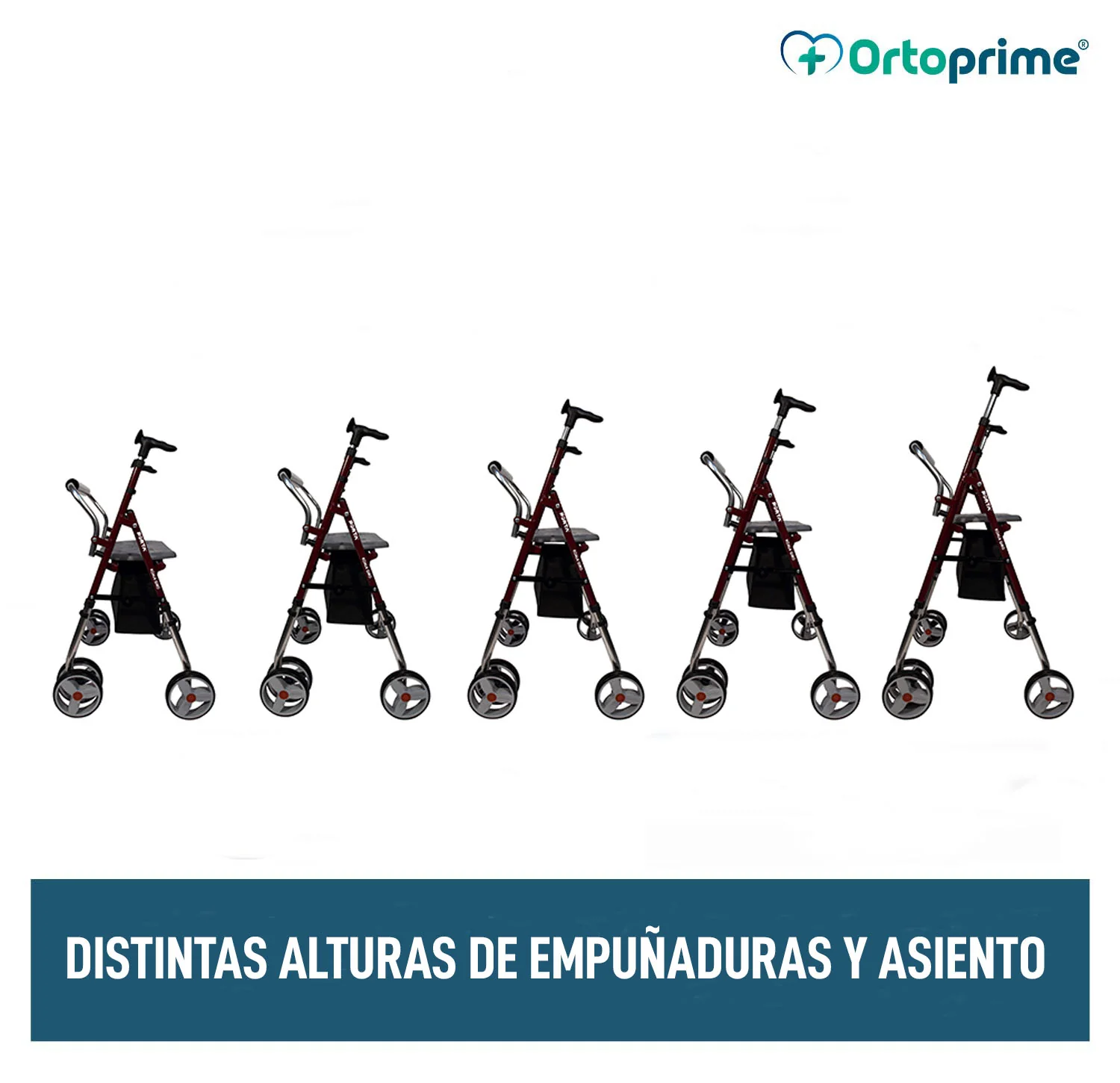 Andador Ortopédico con Asiento Regulable en Altura y Cesta - Image 2