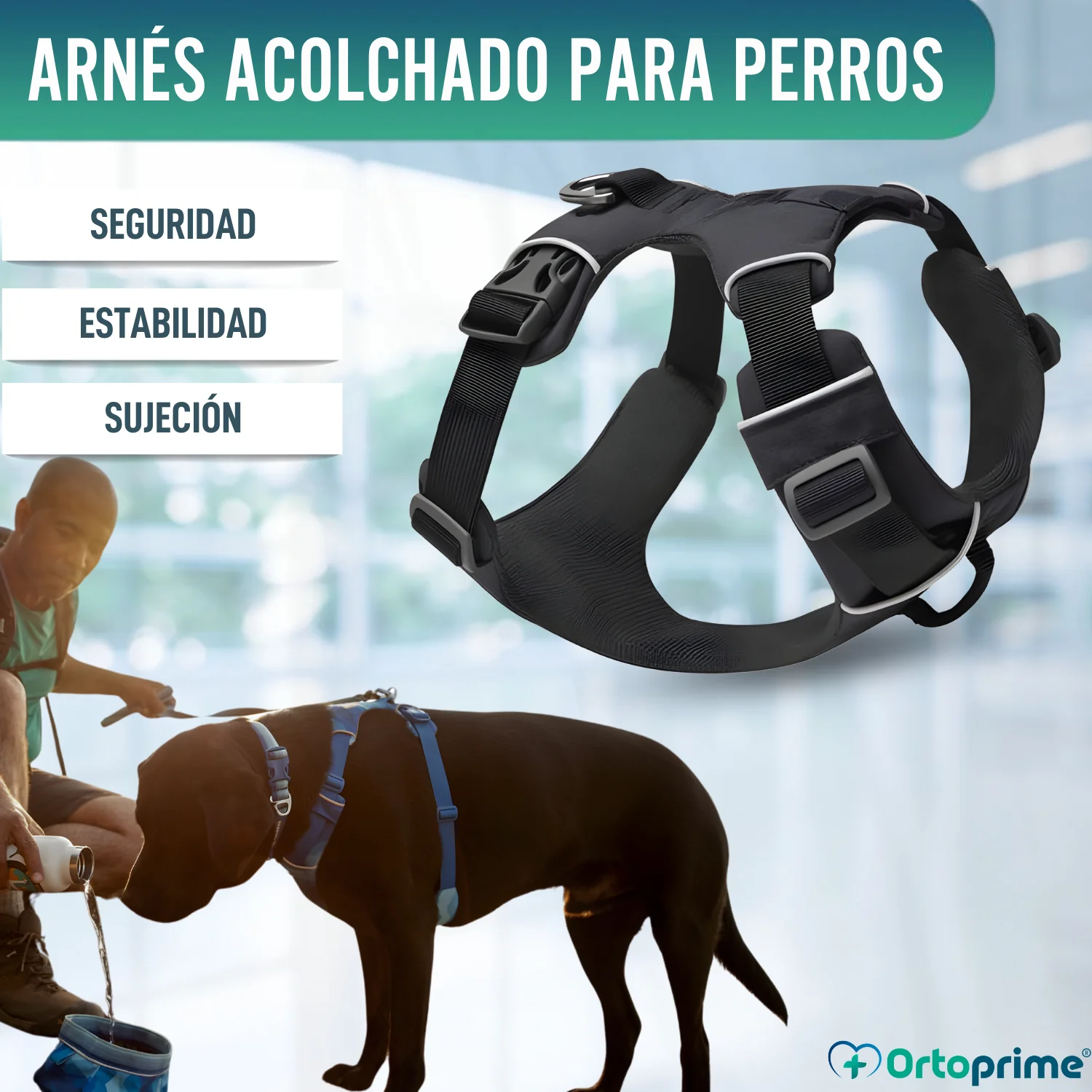 Arnés Acolchado para Perros de Uso Diario | Doble Sujeción - Image 3
