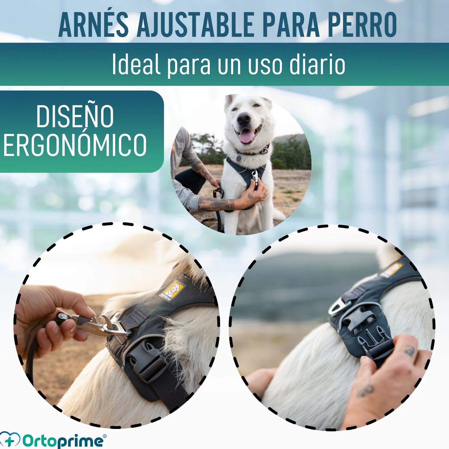 Arnés Acolchado para Perros de Uso Diario | Doble Sujeción - Image 5