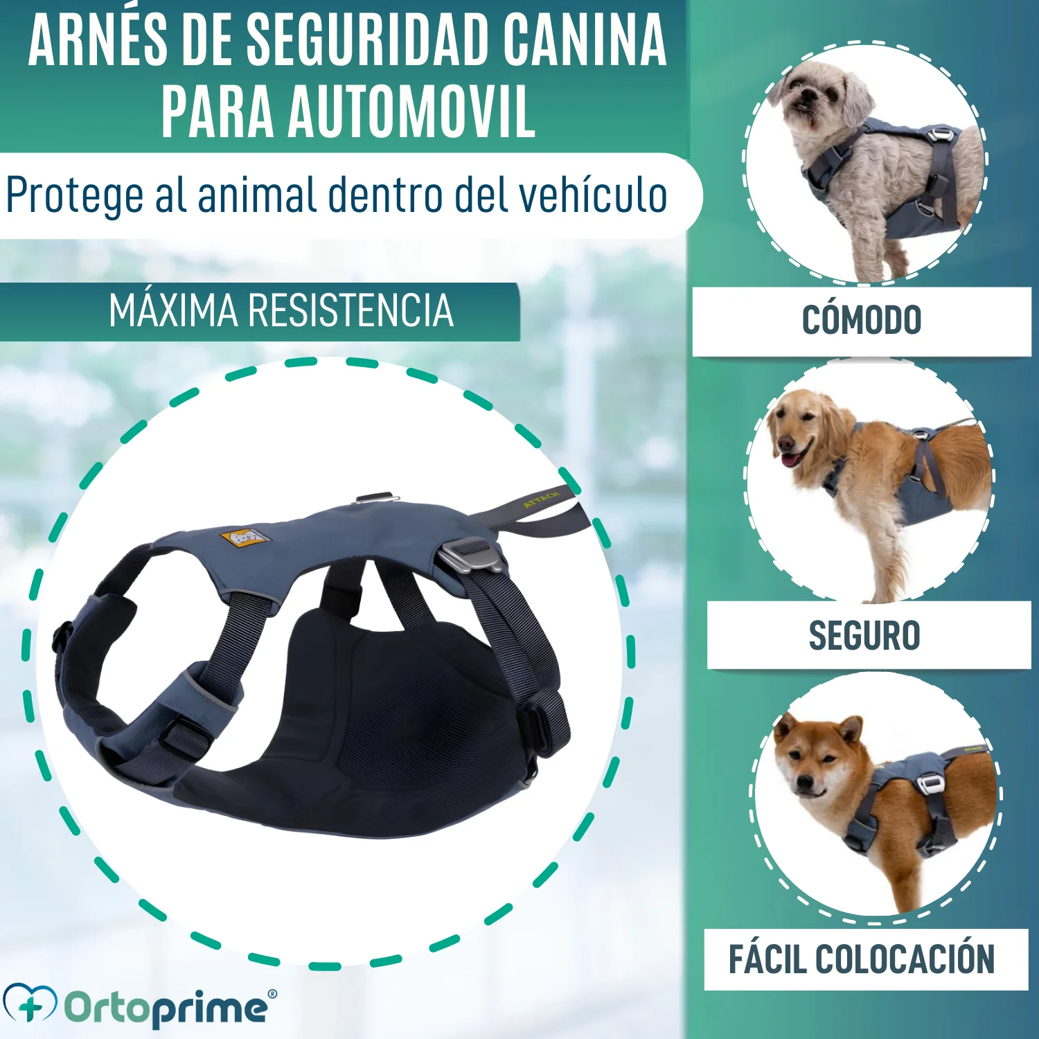 Arnés de Seguridad para Traslado Canino | Mayor Resistencia - Image 2