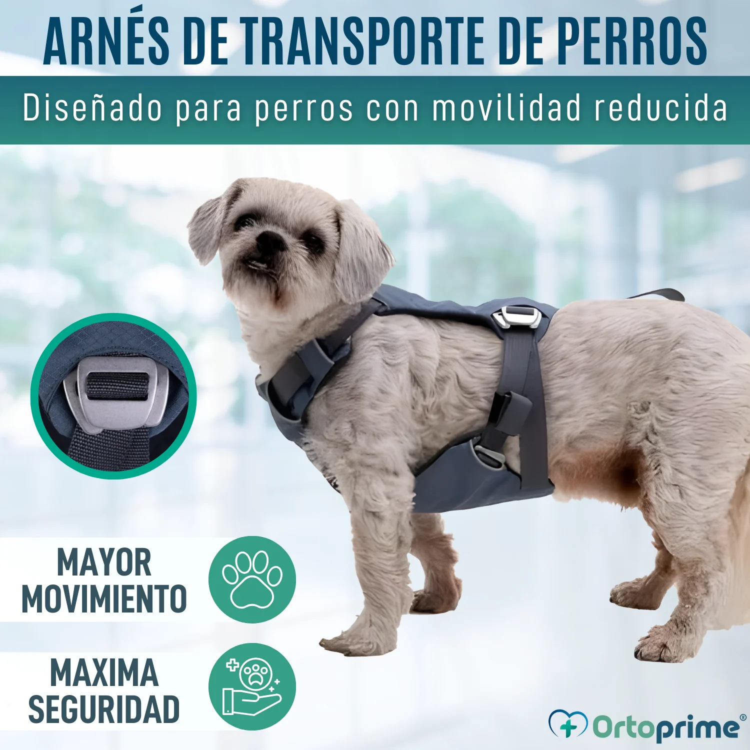 Arnés de Seguridad para Traslado Canino | Mayor Resistencia - Image 4