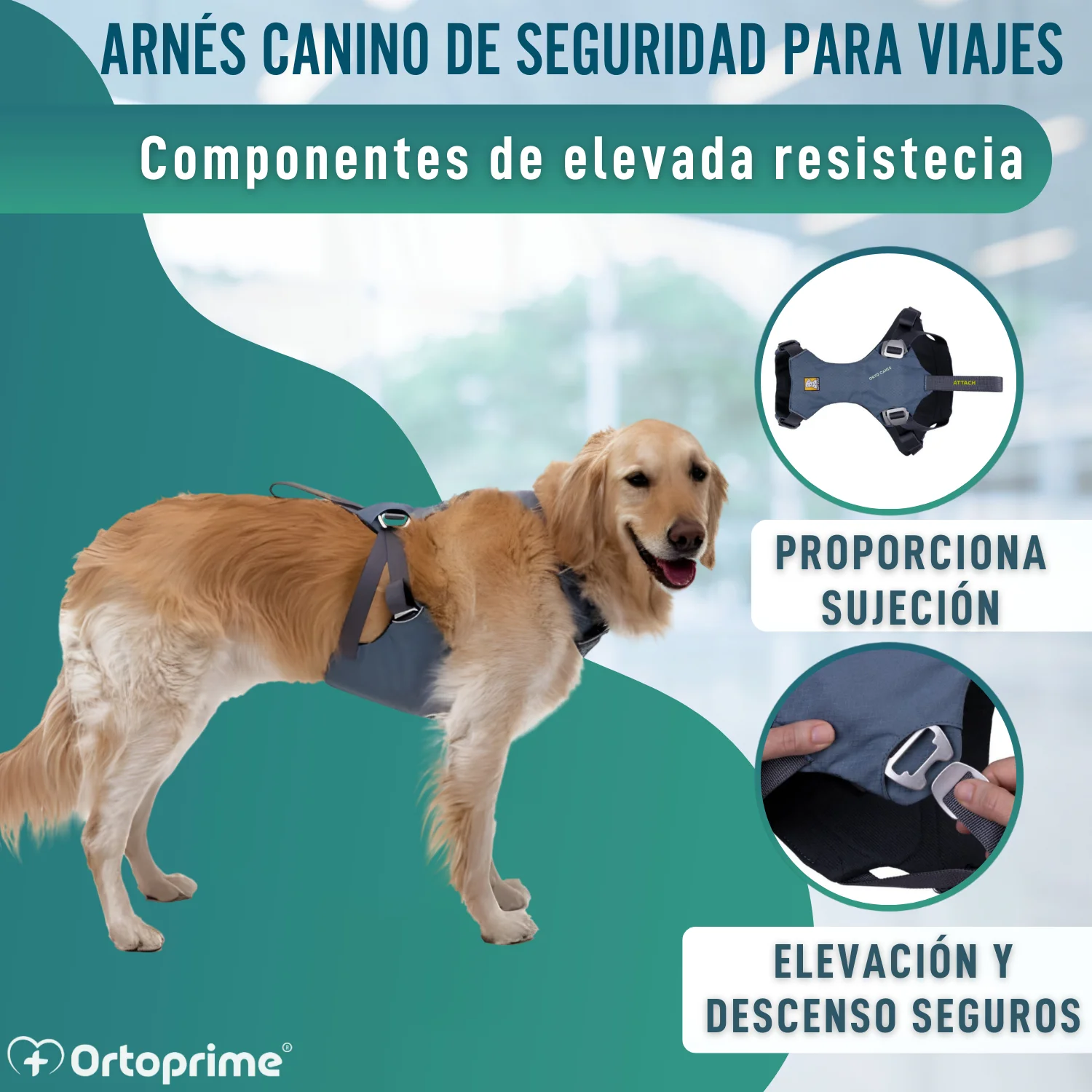 Arnés de Seguridad para Traslado Canino | Mayor Resistencia - Image 6