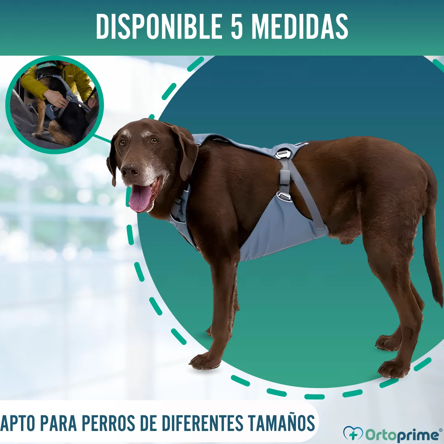 Arnés de Seguridad para Traslado Canino | Mayor Resistencia - Image 7