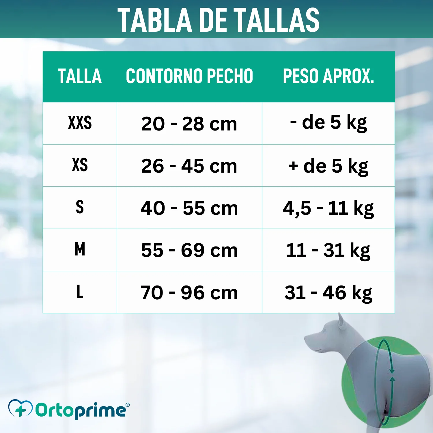 Arnés Canino para Rehabilitación Neurológica | 5 Tallas - Image 2