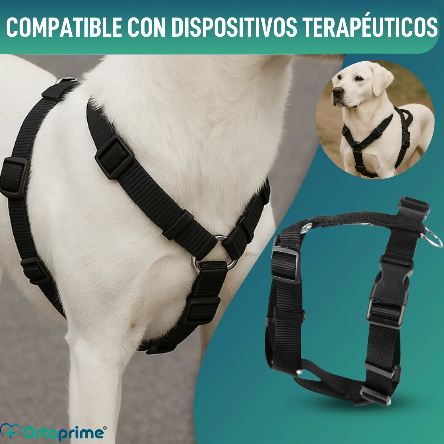 Arnés Canino para Rehabilitación Neurológica | 5 Tallas - Image 4
