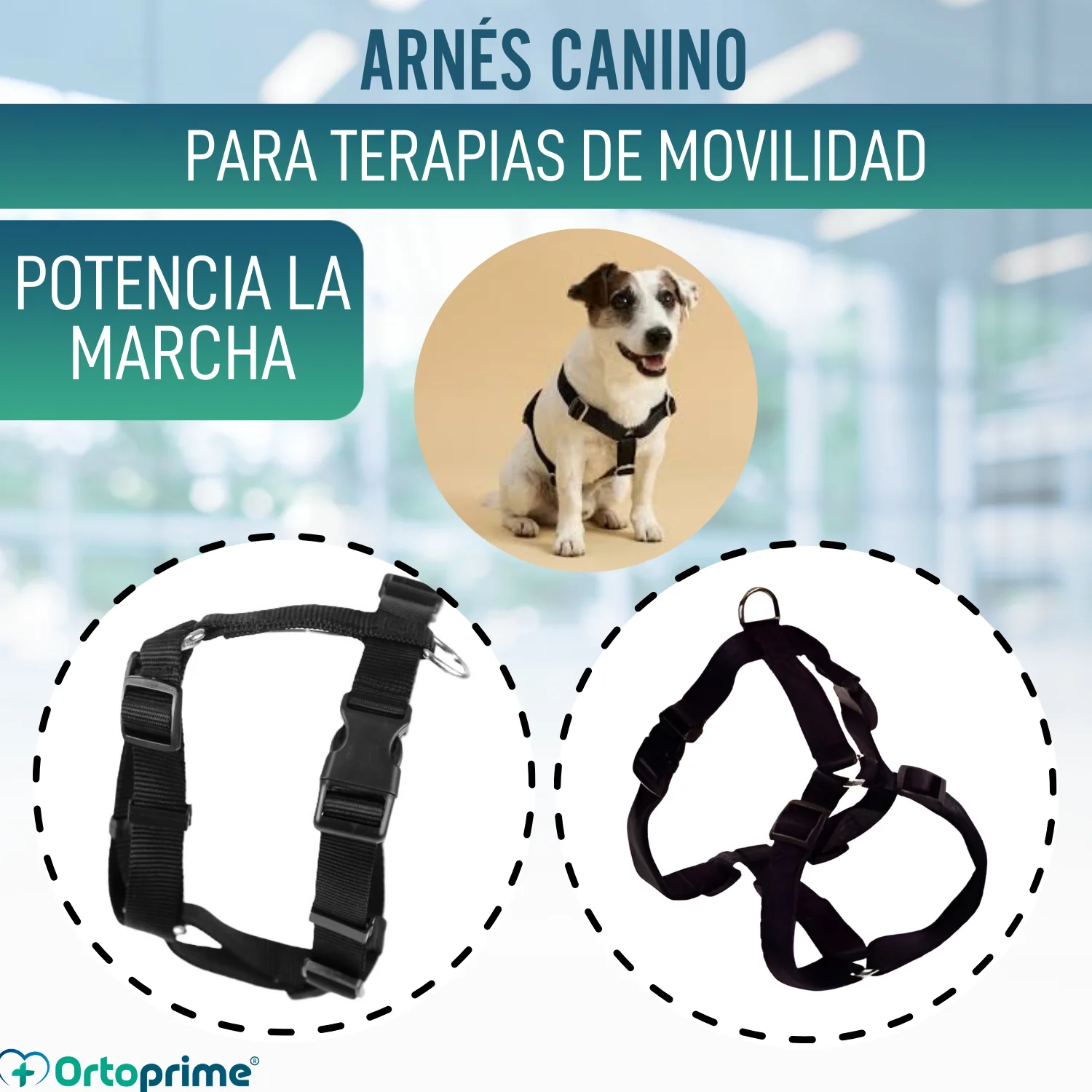 Arnés Canino para Rehabilitación Neurológica | 5 Tallas - Image 5