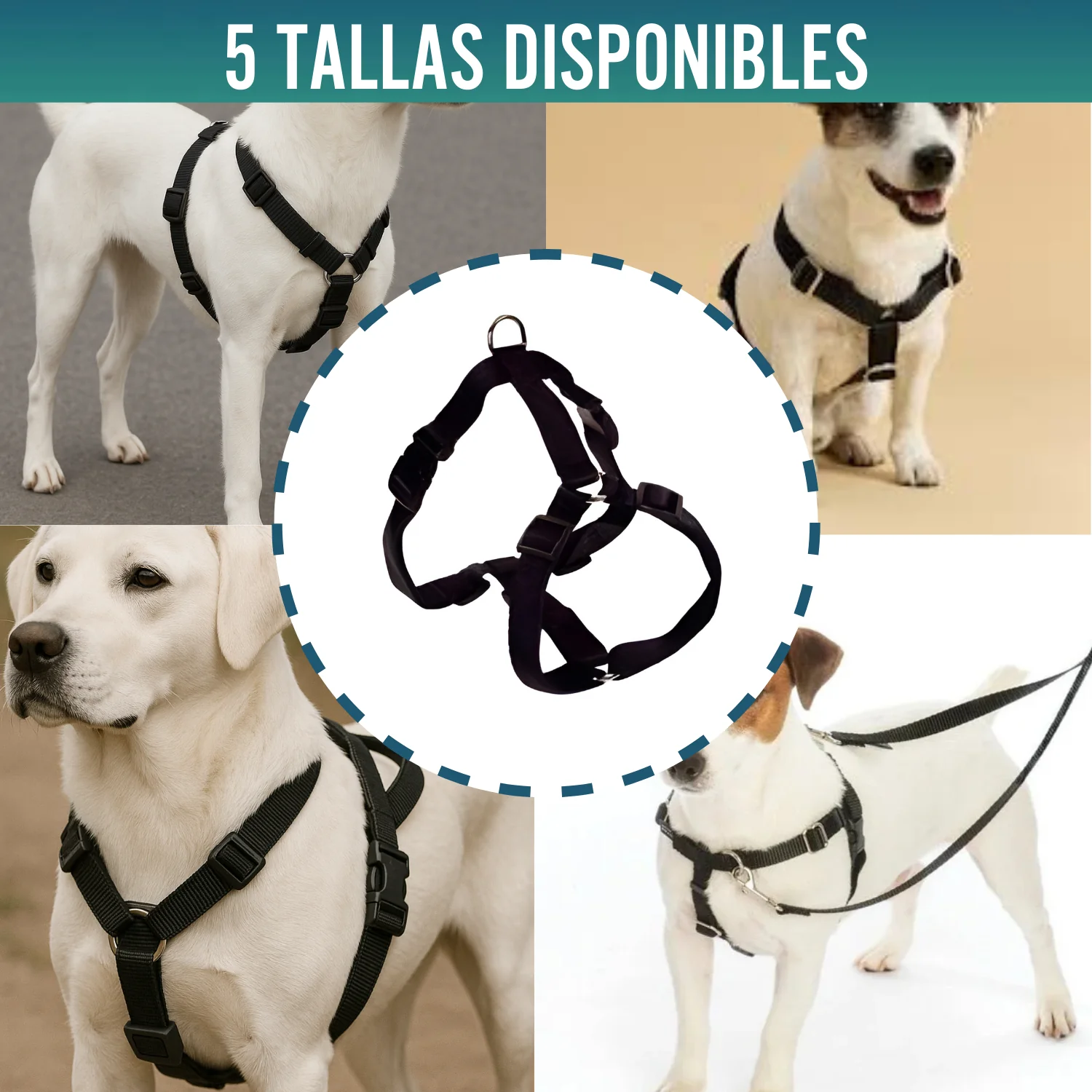 Arnés Canino para Rehabilitación Neurológica | 5 Tallas - Image 7