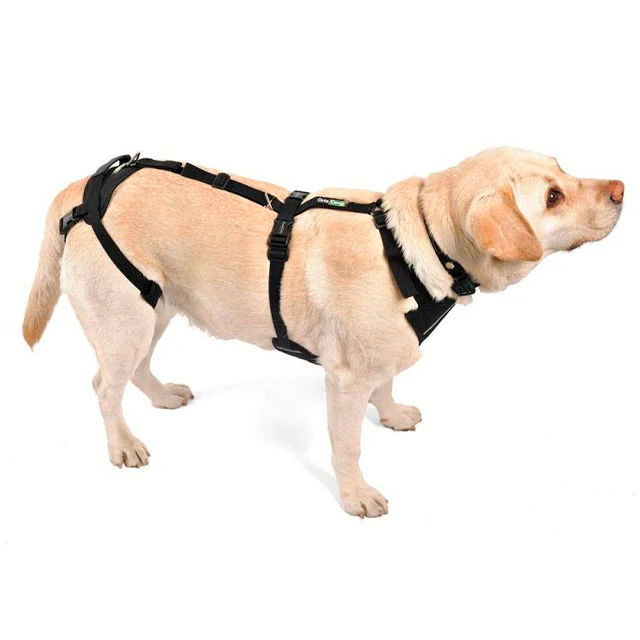 Arnés de Perro para Soporte en Cuerpo Entero | Por Tallas - Image 5