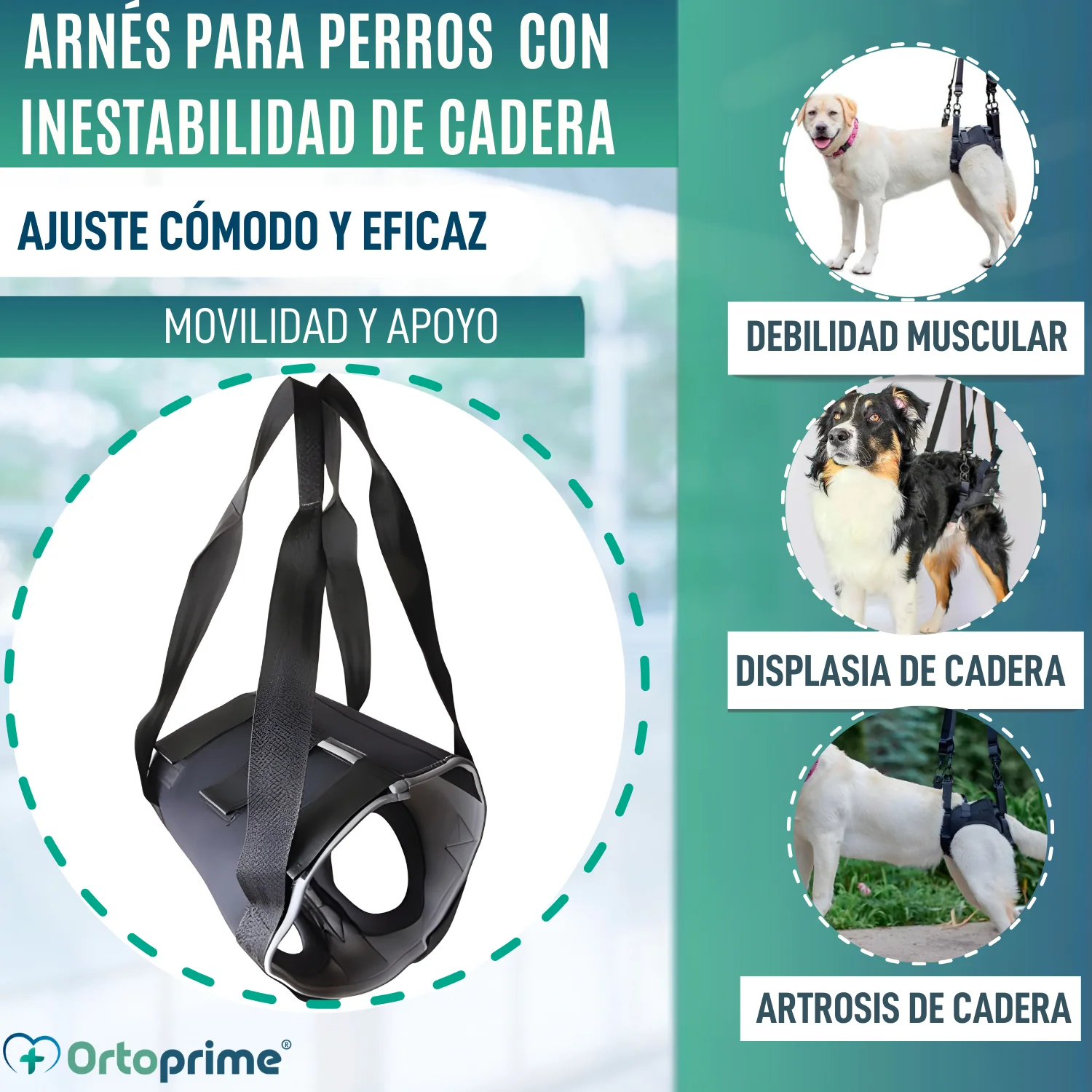 Arnés de Rehabilitación Canina Patas Traseras | 5 Tallas - Image 2