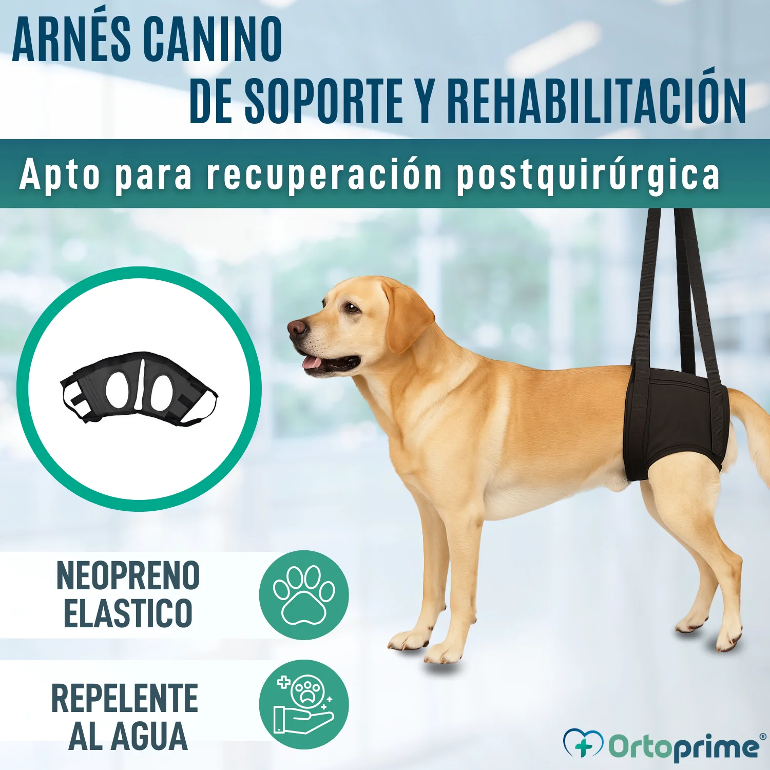 Arnés de Rehabilitación Canina Patas Traseras | 5 Tallas - Image 3