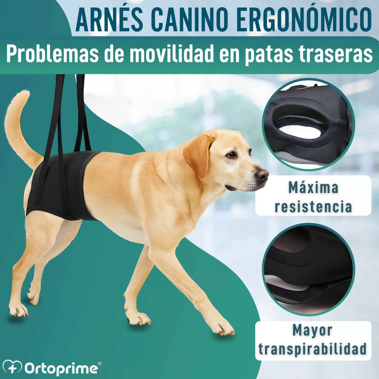 Arnés de Rehabilitación Canina Patas Traseras | 5 Tallas - Image 5
