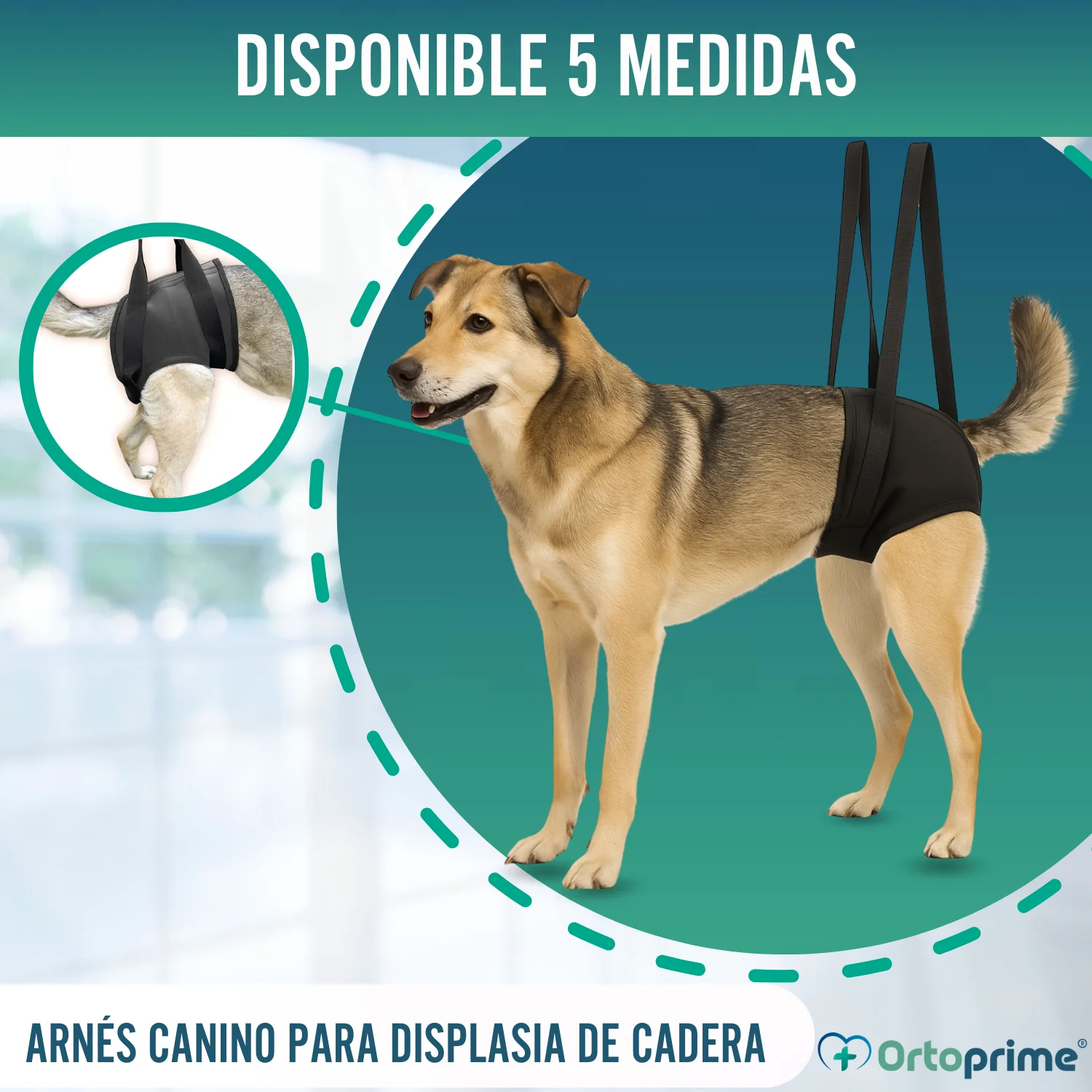Arnés de Rehabilitación Canina Patas Traseras | 5 Tallas - Image 6