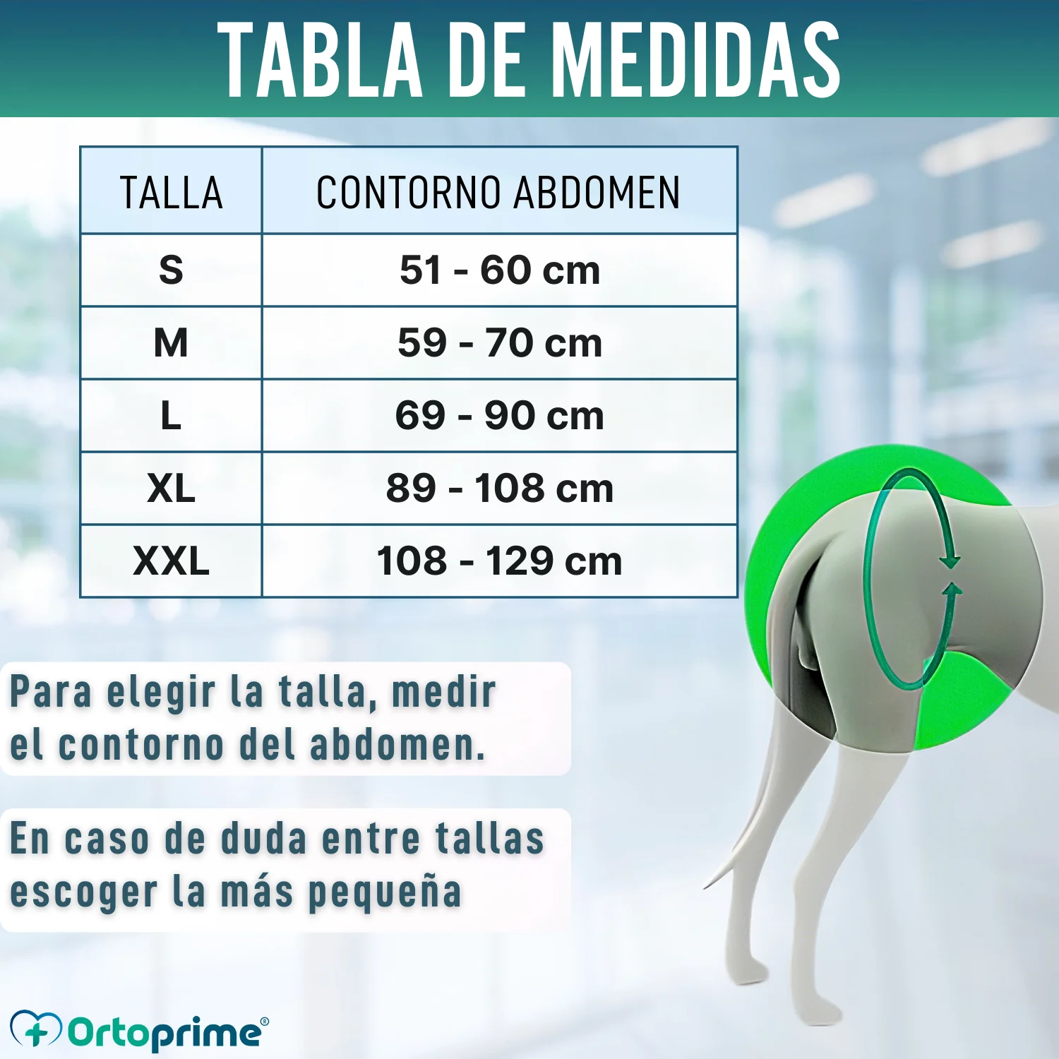 Arnés de Rehabilitación Canina Patas Traseras | 5 Tallas - Image 7