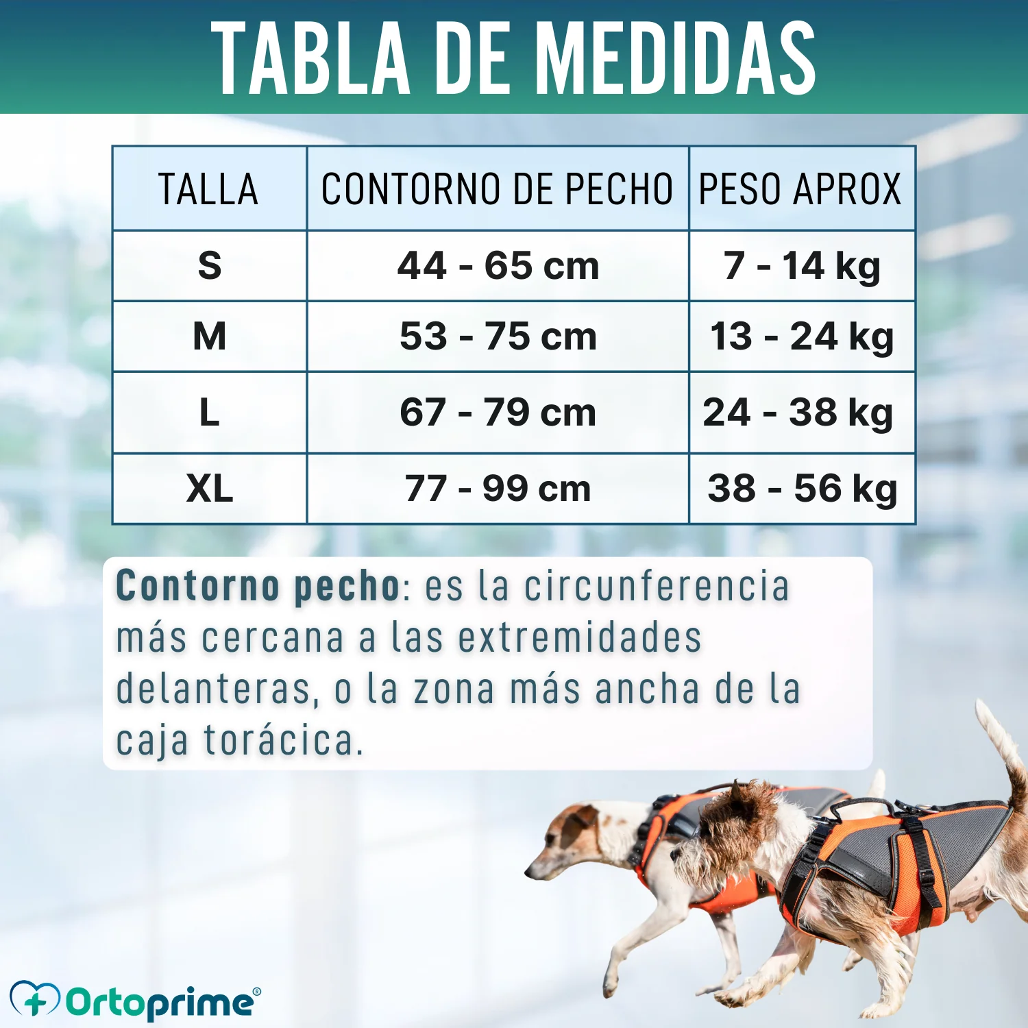 Arnés de Rehabilitación Integral para Perros | Material 3D - Image 2