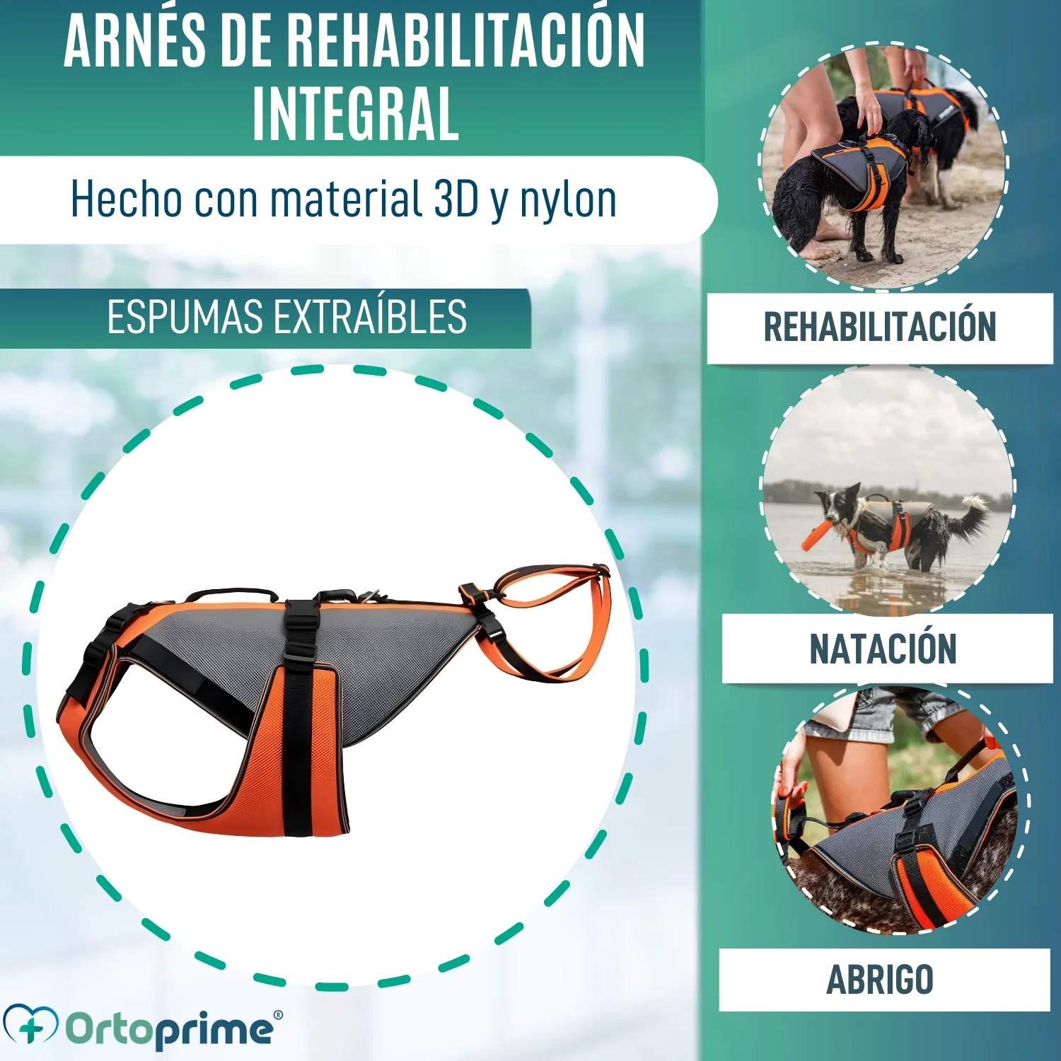 Arnés de Rehabilitación Integral para Perros | Material 3D - Image 3