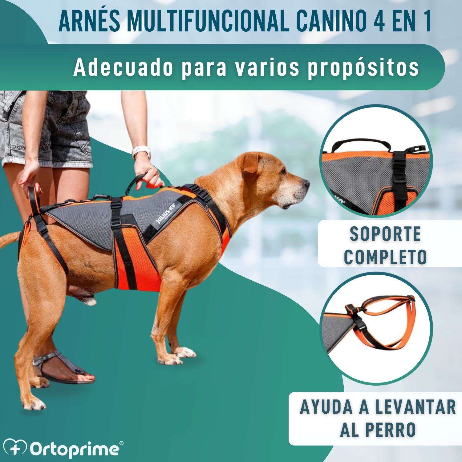 Arnés de Rehabilitación Integral para Perros | Material 3D - Image 5