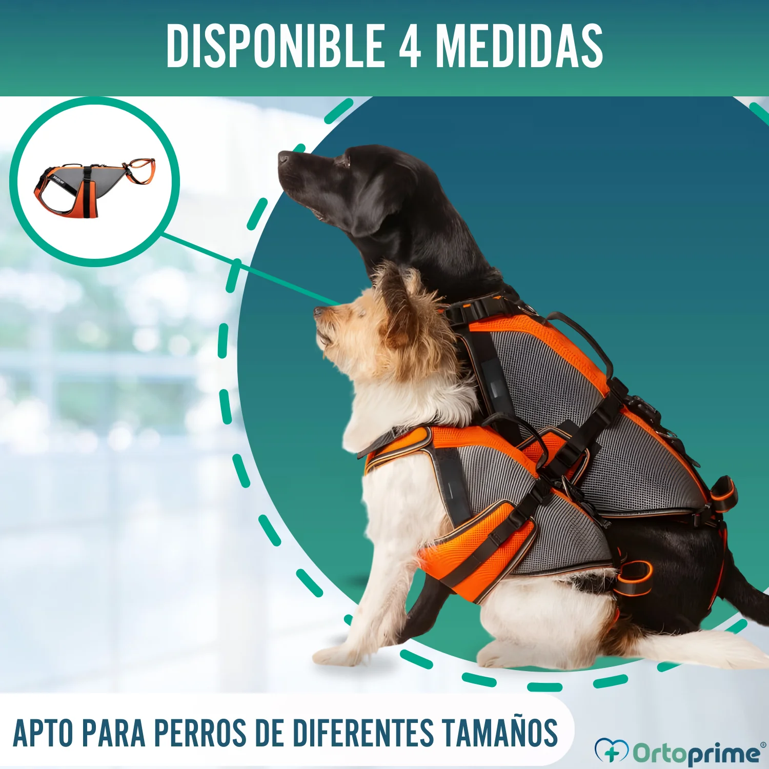 Arnés de Rehabilitación Integral para Perros | Material 3D - Image 7