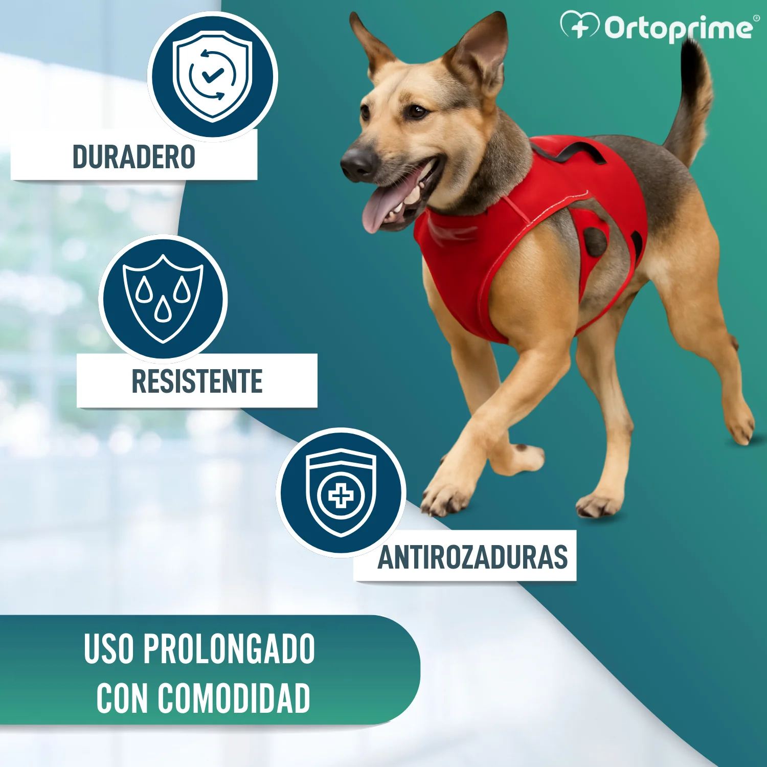 Arnés de Sujeción para Perros de Servicio | 5 Tallas - Image 4