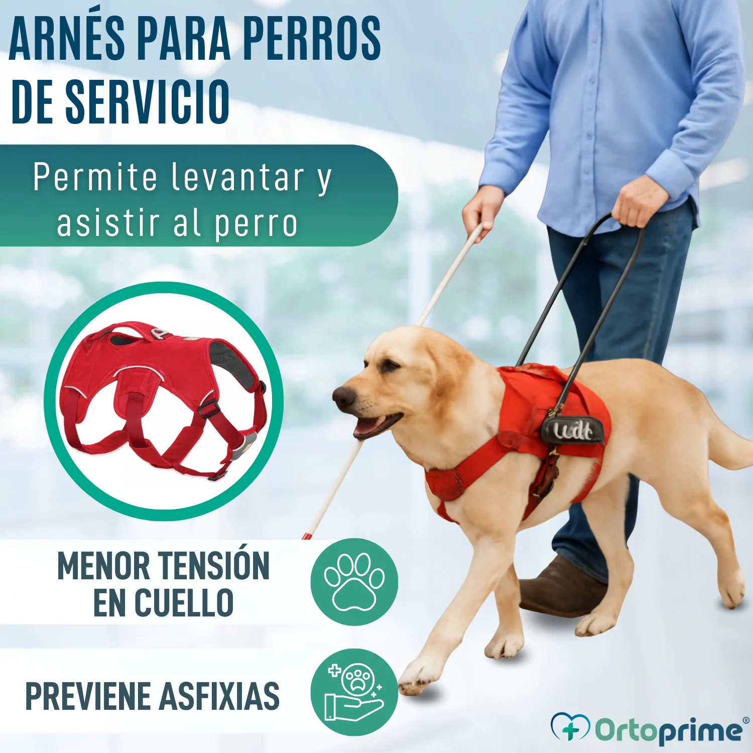 Arnés de Sujeción para Perros de Servicio | 5 Tallas - Image 6