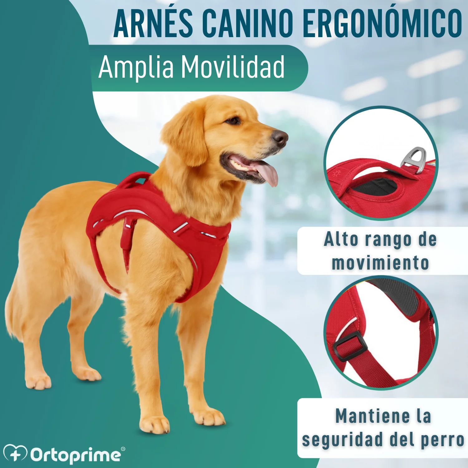 Arnés de Sujeción para Perros de Servicio | 5 Tallas - Image 7
