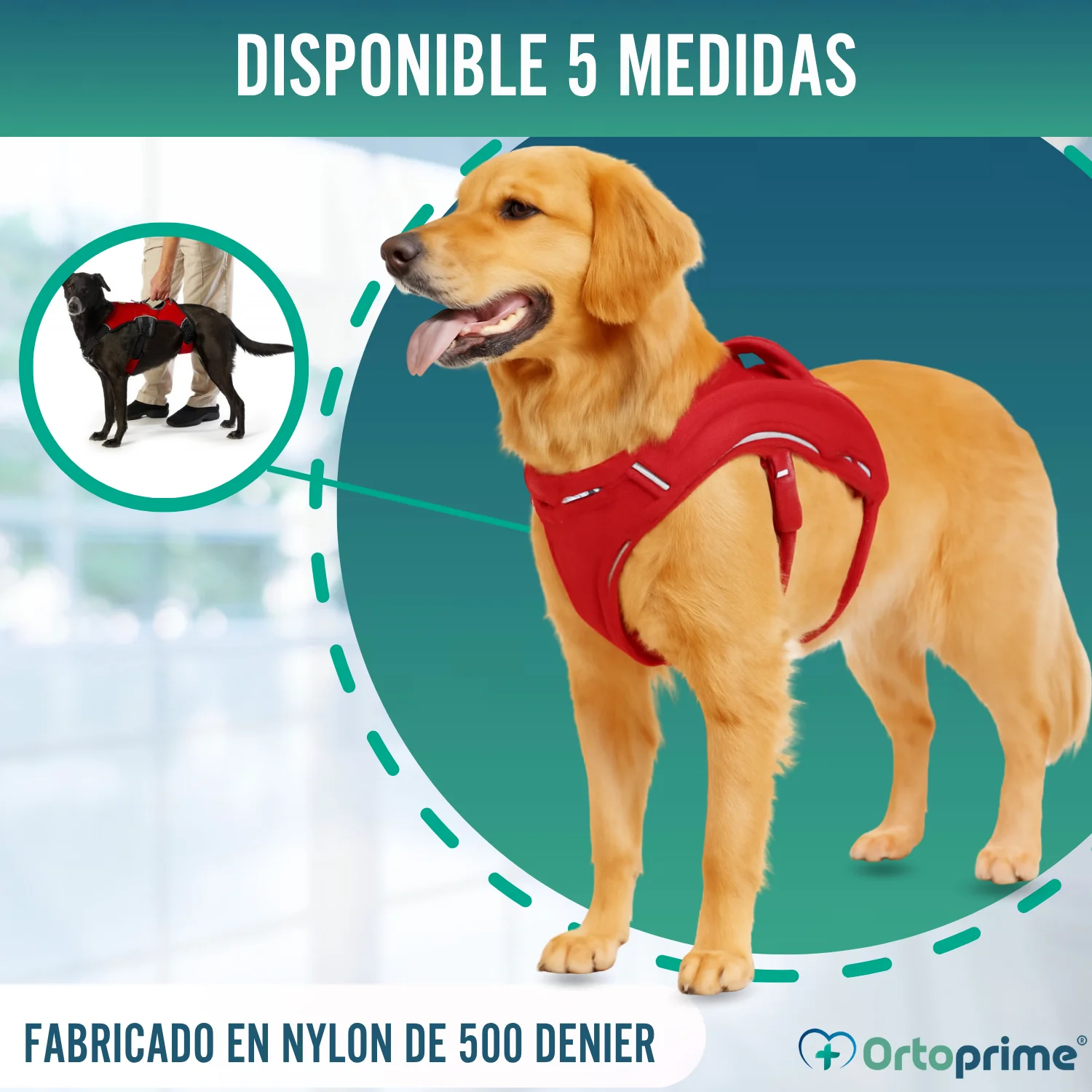 Arnés de Sujeción para Perros de Servicio | 5 Tallas - Image 8