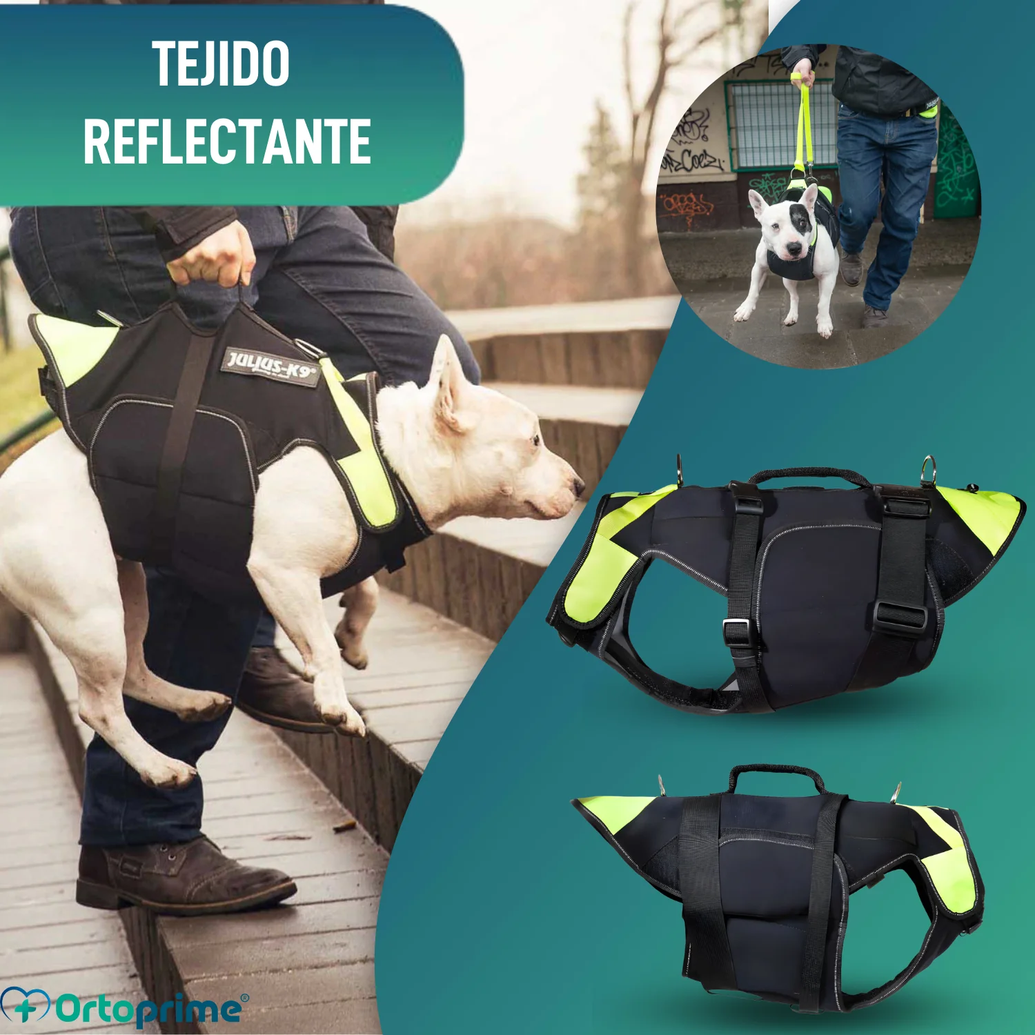 Arnés Multifuncional Canino 3 en 1 de Neopreno | 4 Tallas - Image 6