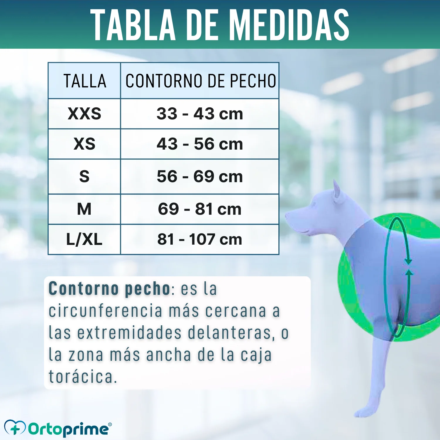 Arnés de Elevación Multiuso Canino | Estructura Resistente - Image 2