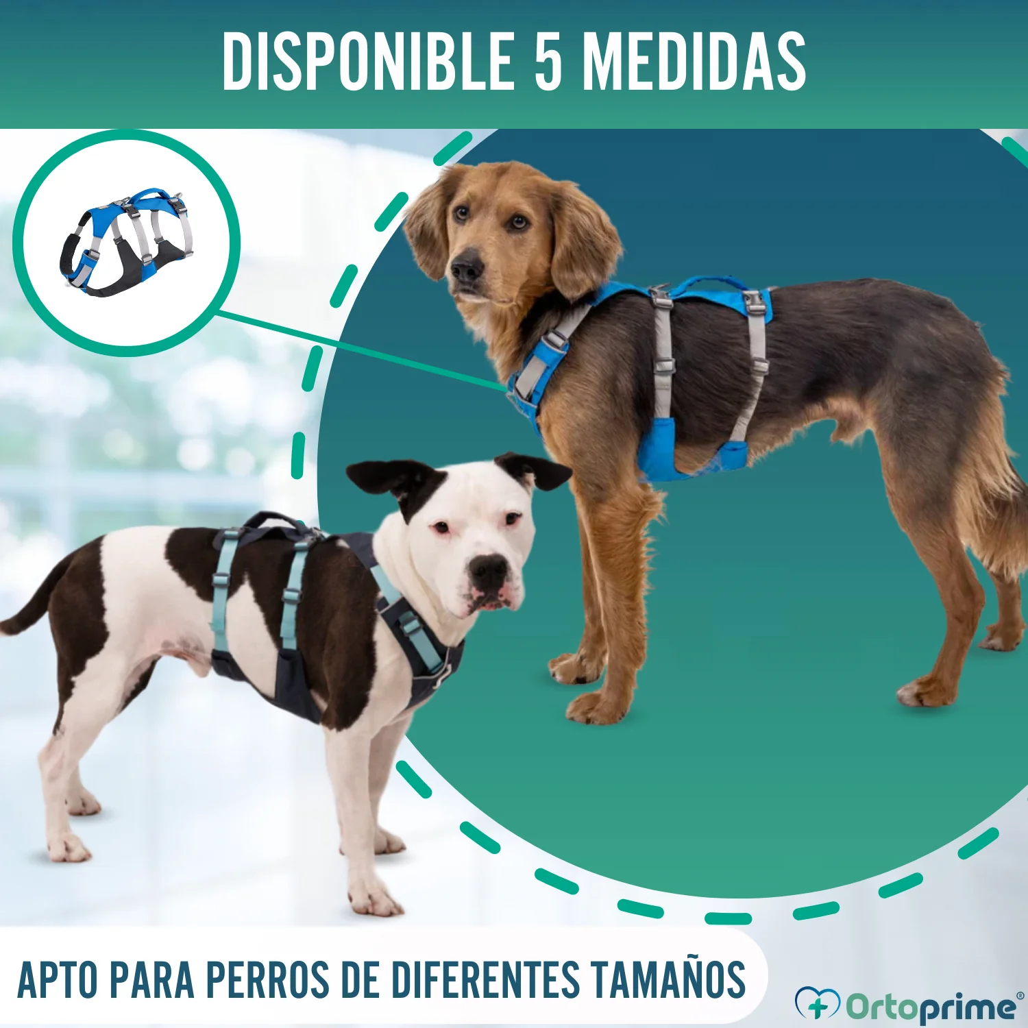 Arnés de Elevación Multiuso Canino | Estructura Resistente - Image 8
