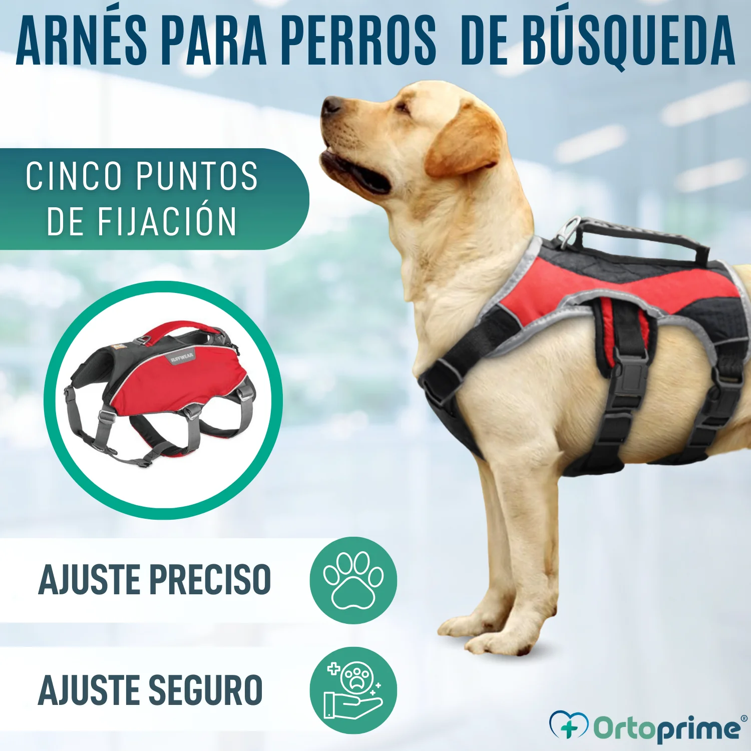 Arnés para Perro de Búsqueda y Rescate | Máxima Resistencia - Image 4