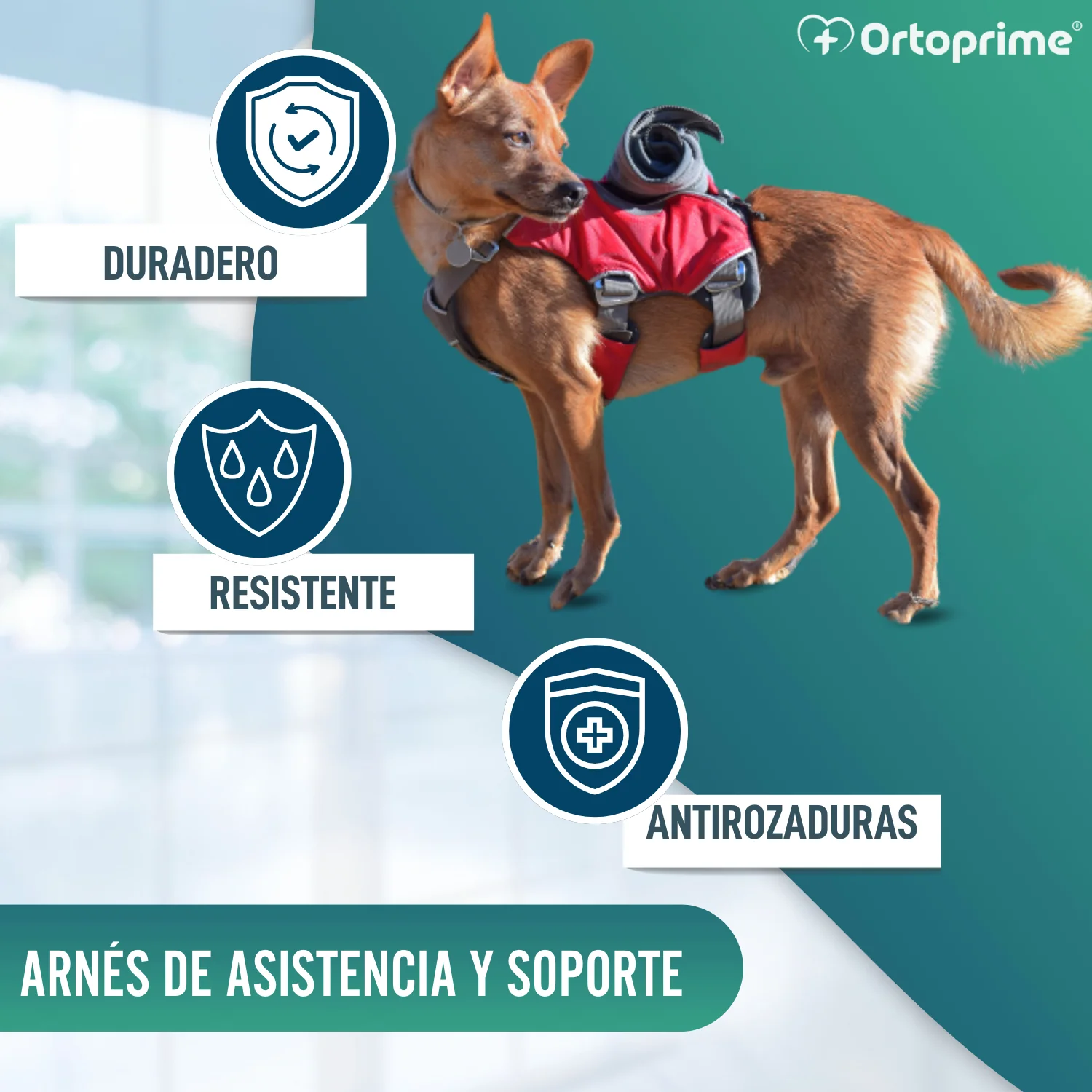 Arnés para Perro de Búsqueda y Rescate | Máxima Resistencia - Image 5