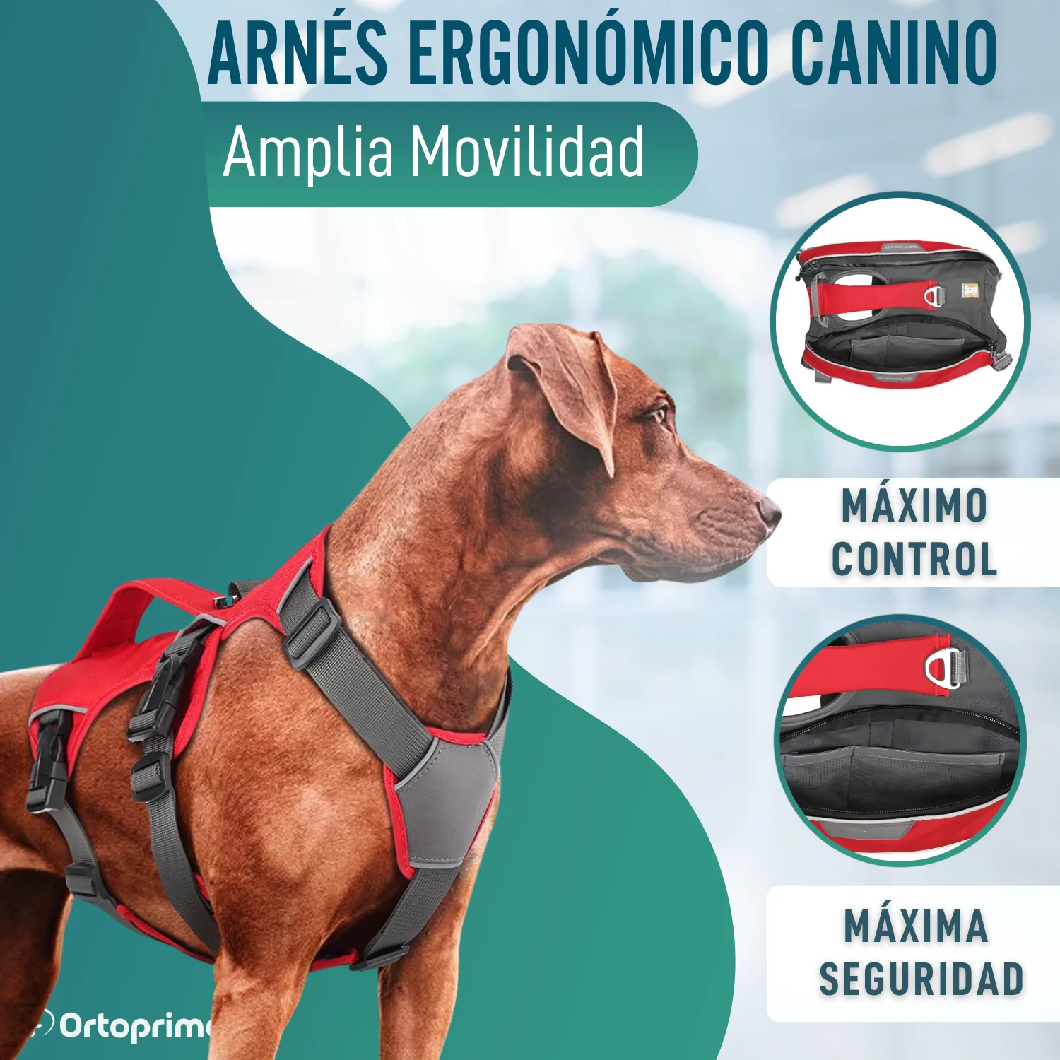 Arnés para Perro de Búsqueda y Rescate | Máxima Resistencia - Image 7