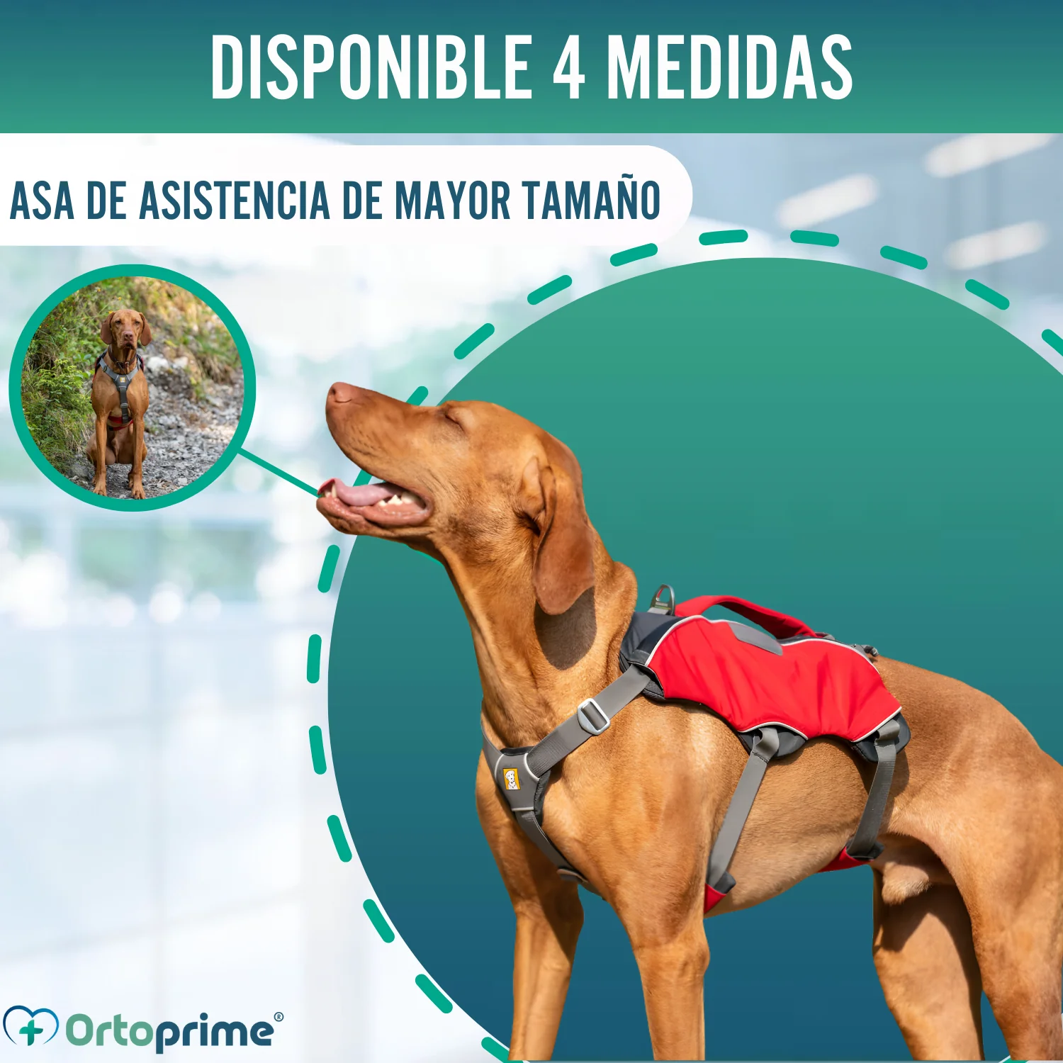 Arnés para Perro de Búsqueda y Rescate | Máxima Resistencia - Image 8