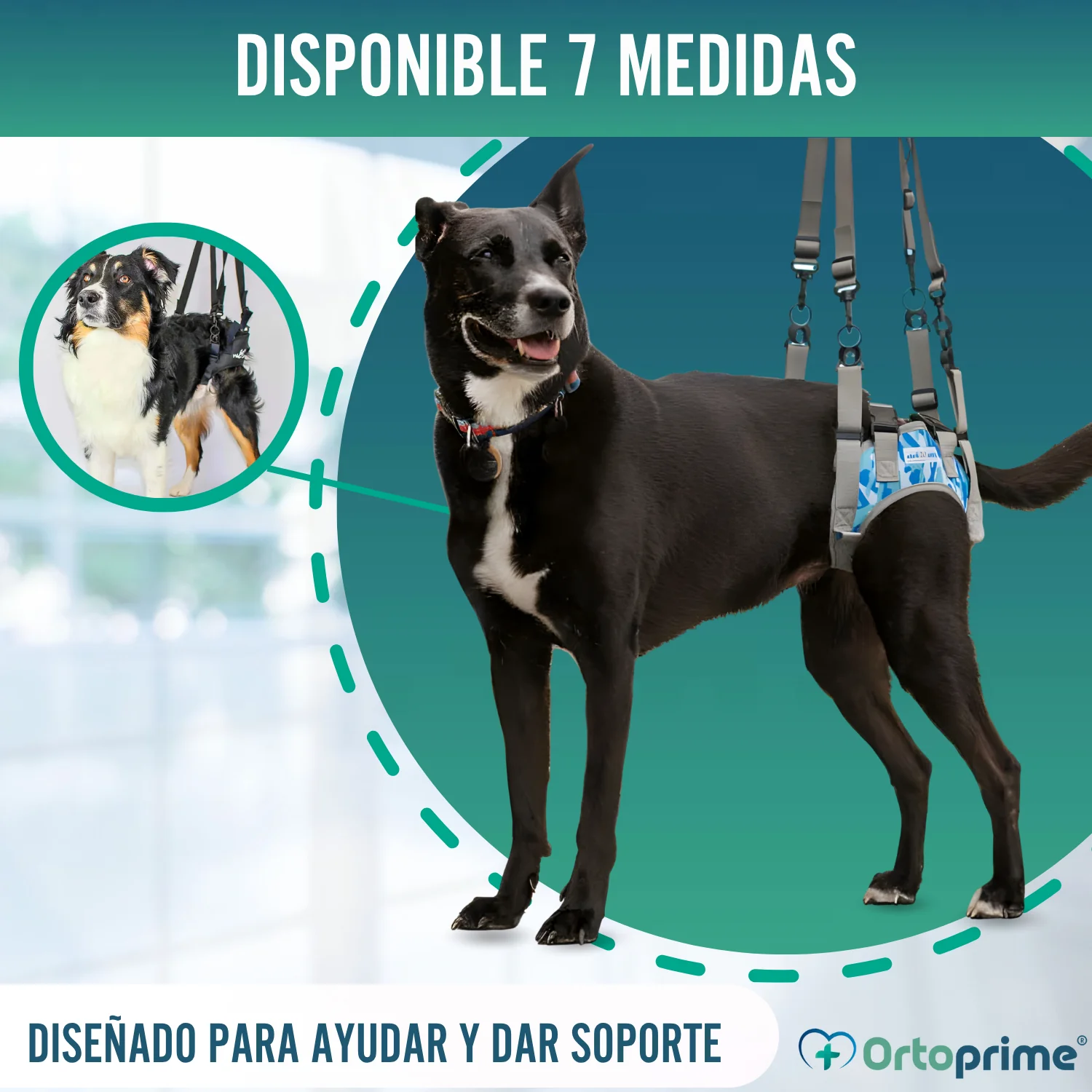 Arnés para Perros con Movilidad Reducida en Patas Traseras - Image 8