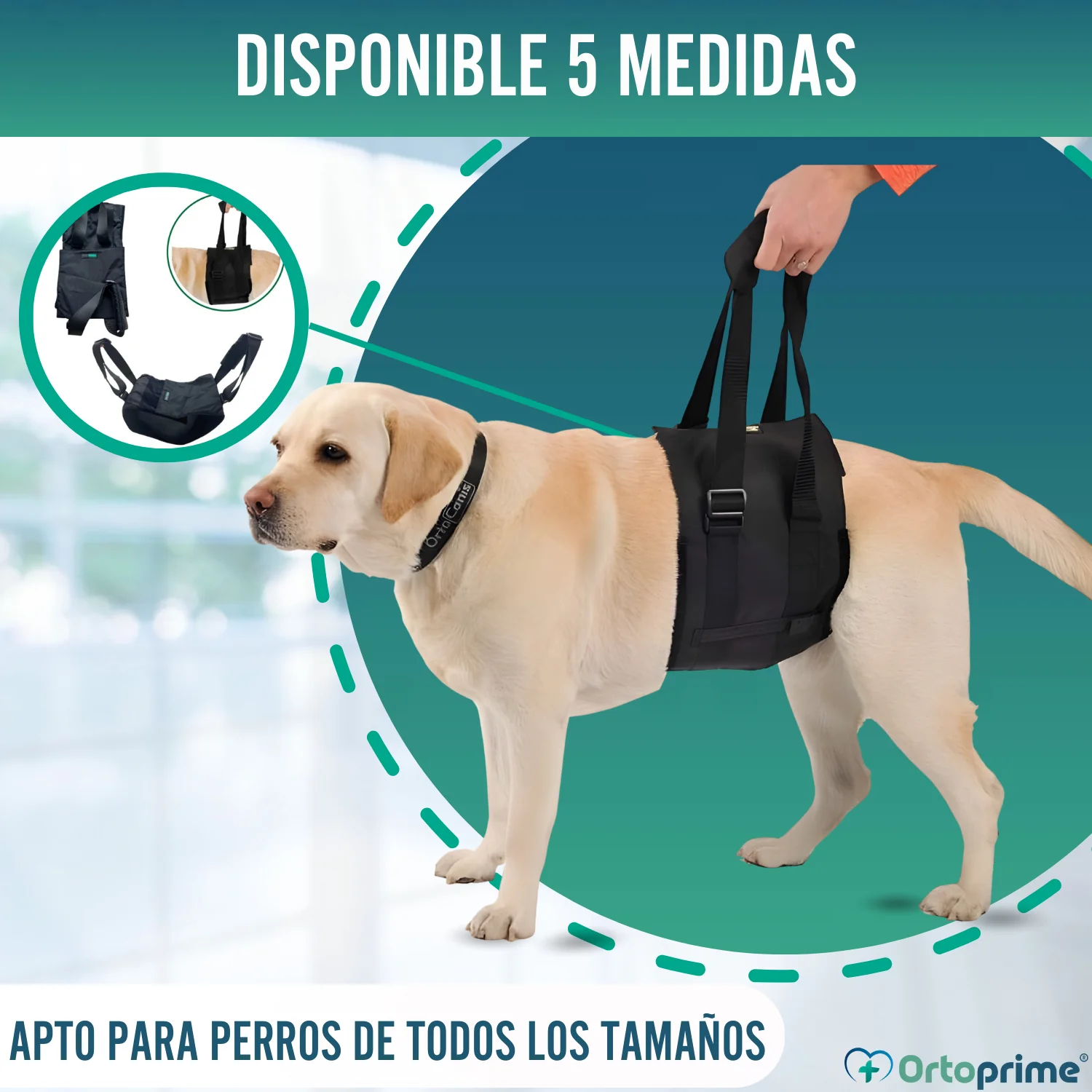 Banda de Ayuda para Perros con Movilidad Reducida | 5 Tallas - Image 10