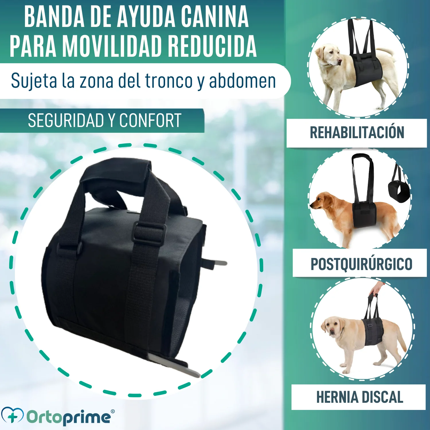 Banda de Ayuda para Perros con Movilidad Reducida | 5 Tallas - Image 3