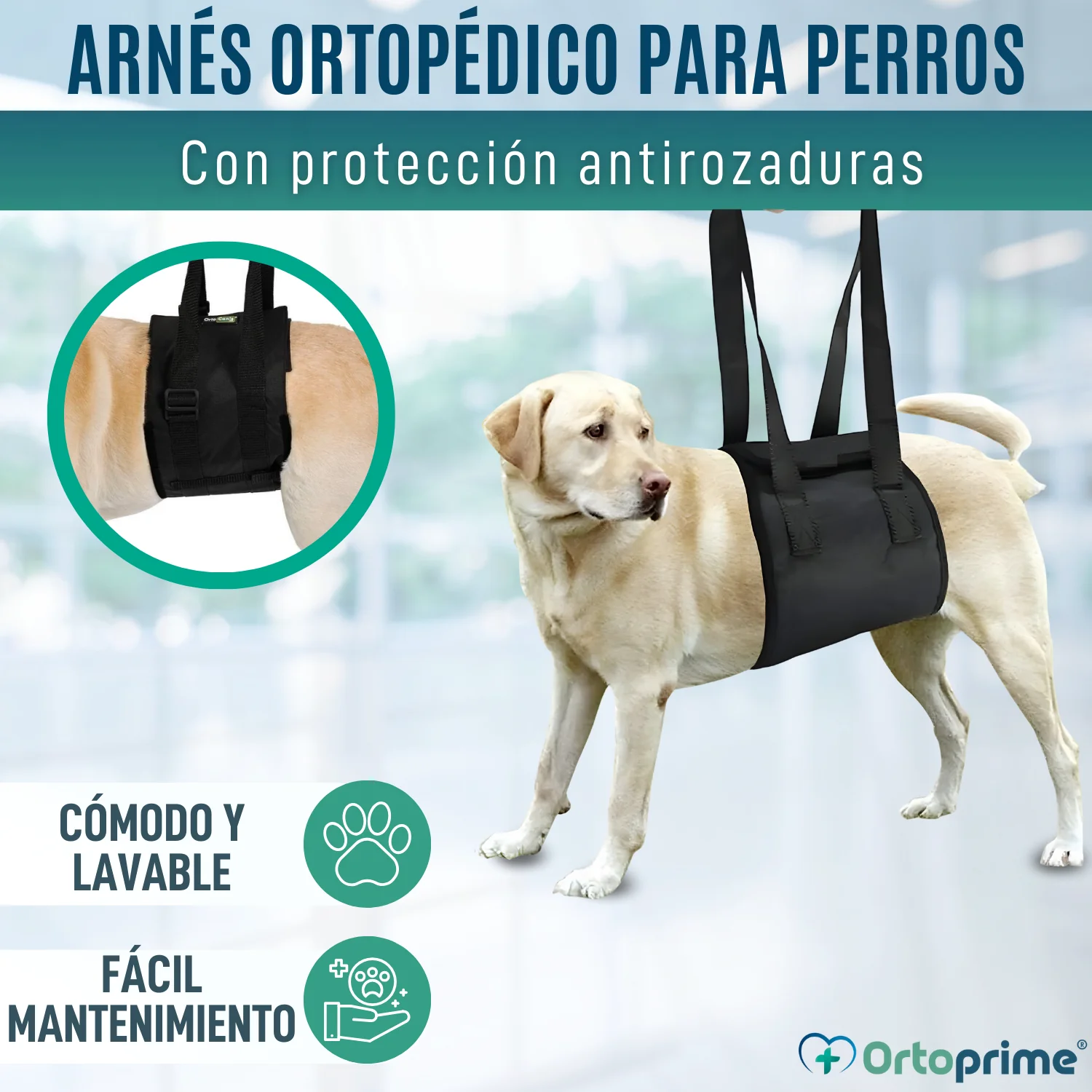 Banda de Ayuda para Perros con Movilidad Reducida | 5 Tallas - Image 5