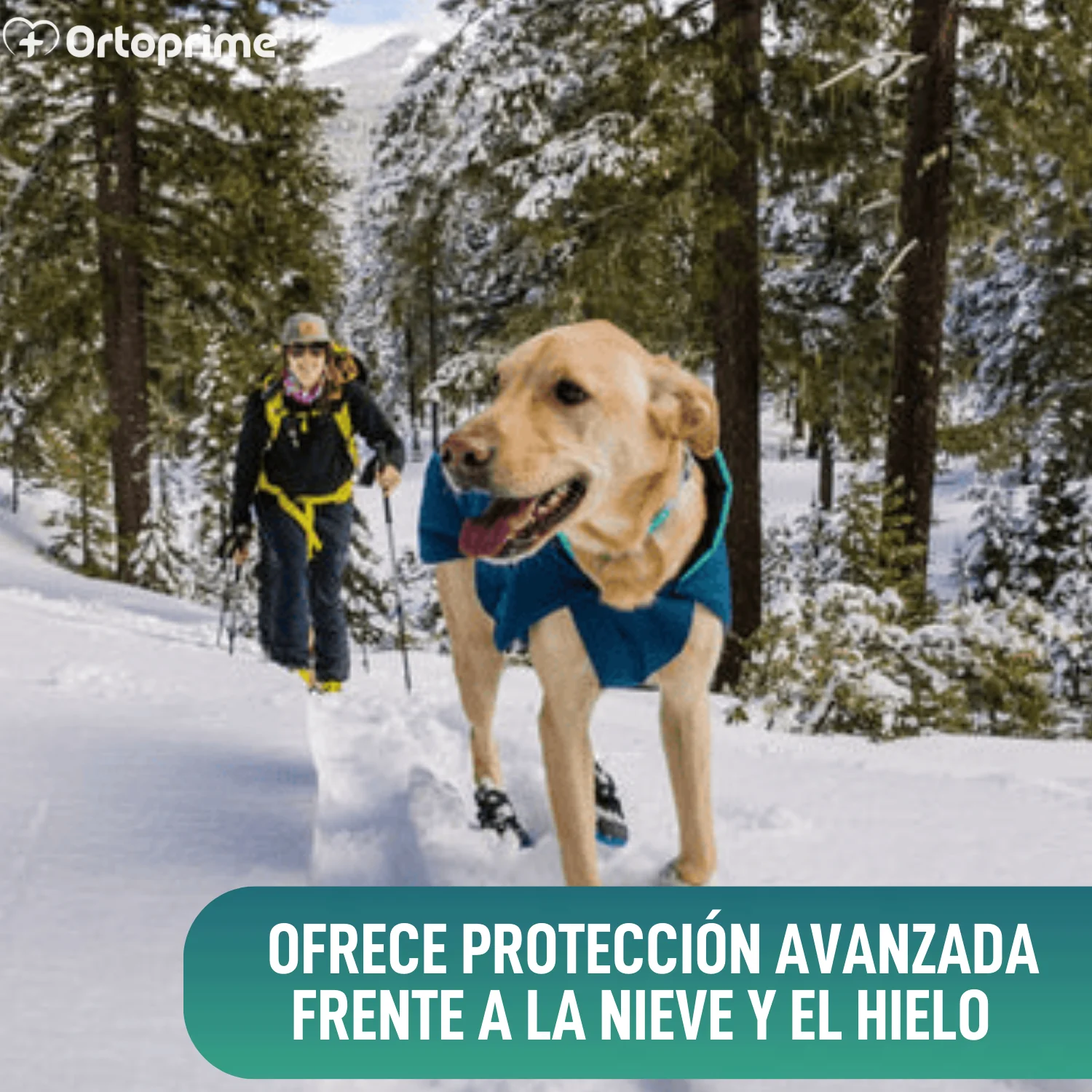 Bota Alta de Invierno para Perros | Suela Antideslizante - Image 4