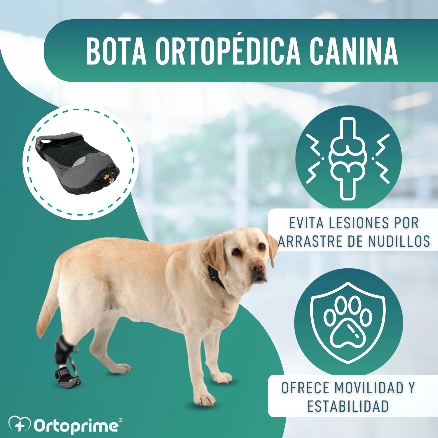 Bota para Corrector Propioceptivo Canino | Suela de Caucho - Image 4