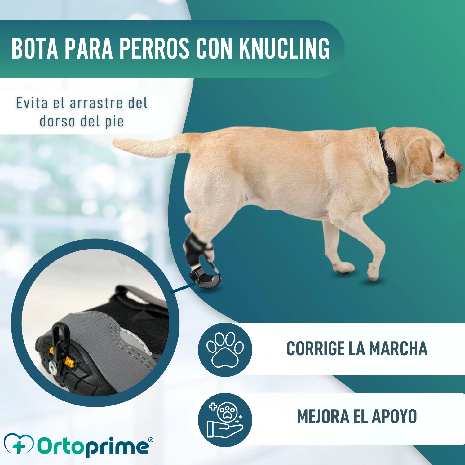 Bota para Corrector Propioceptivo Canino | Suela de Caucho - Image 6